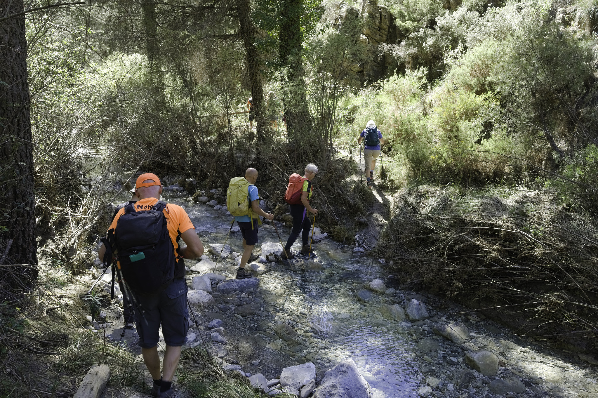 A group of hikers cross a small river using stepping stones