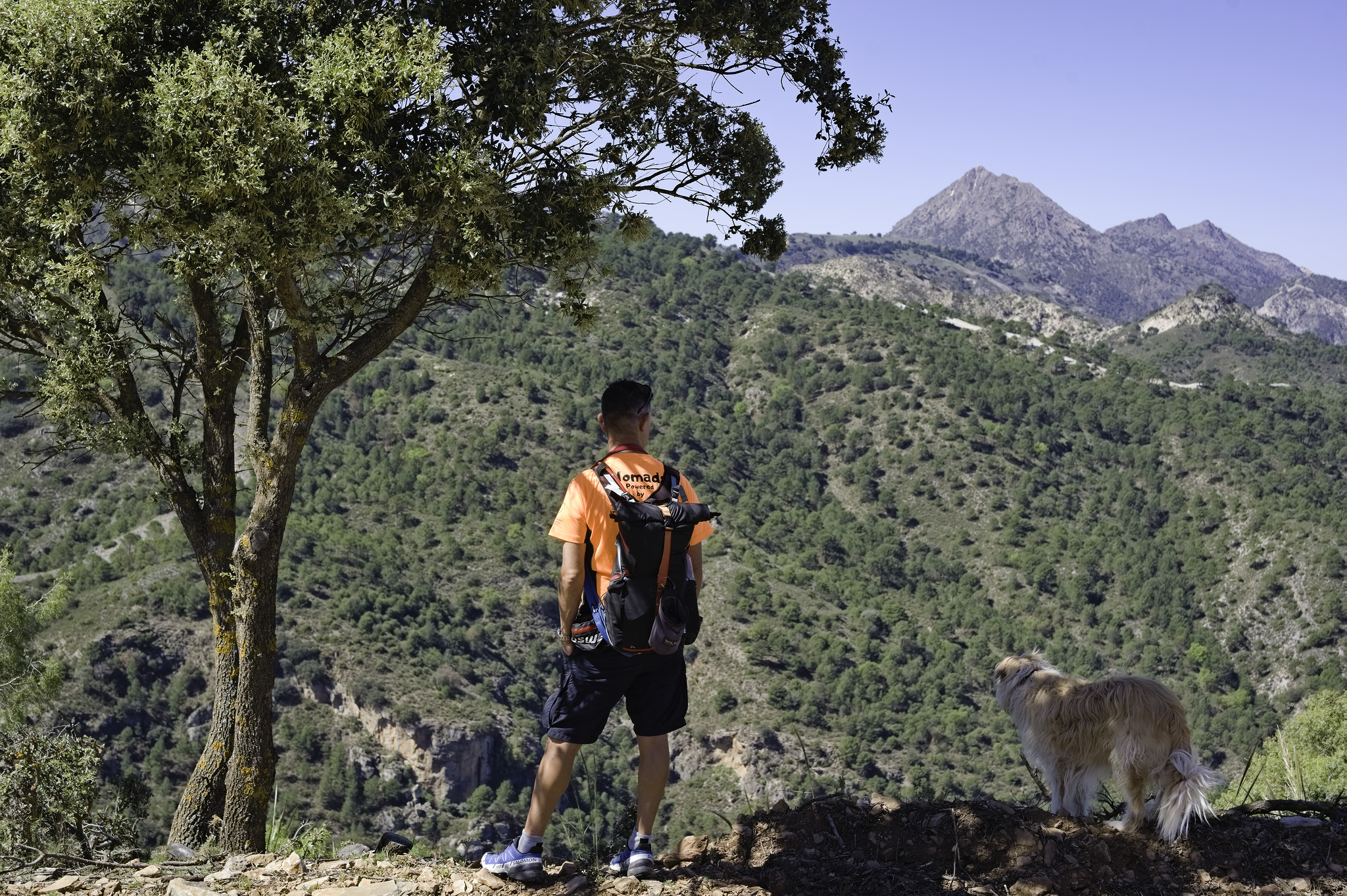 A man stands with his dog next to a tree. In the distance rise some mountain and hills