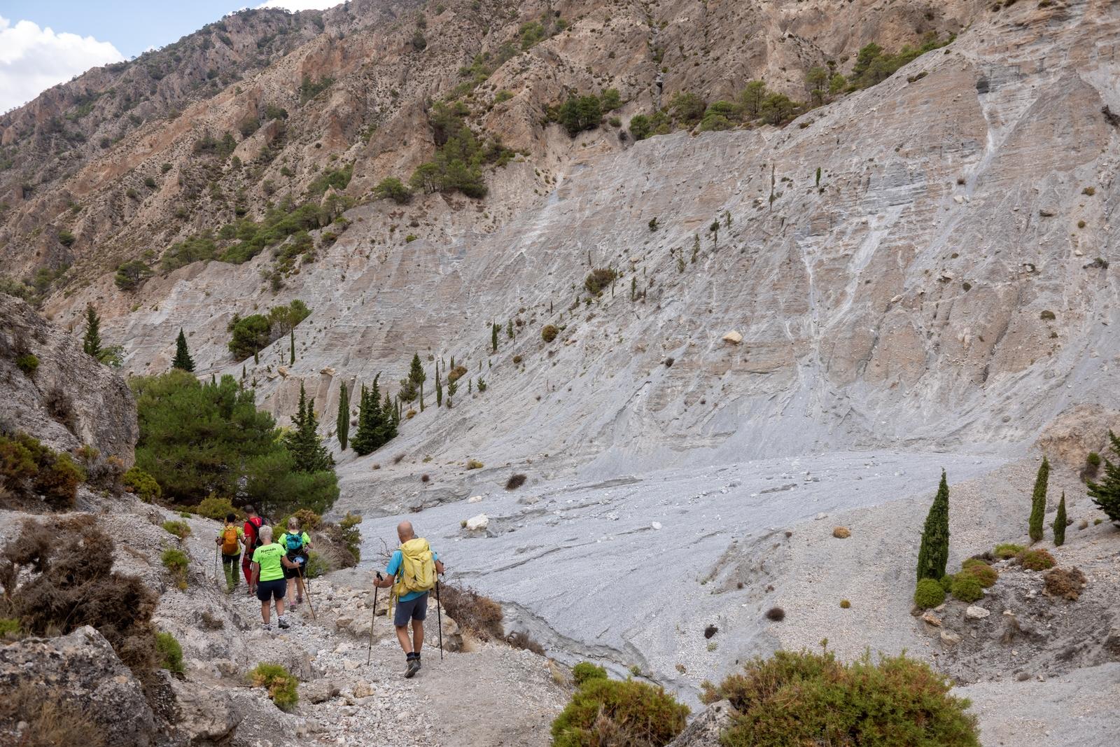 Hikers on a descending track on the left above a deep arid valley with a few trees dotted around