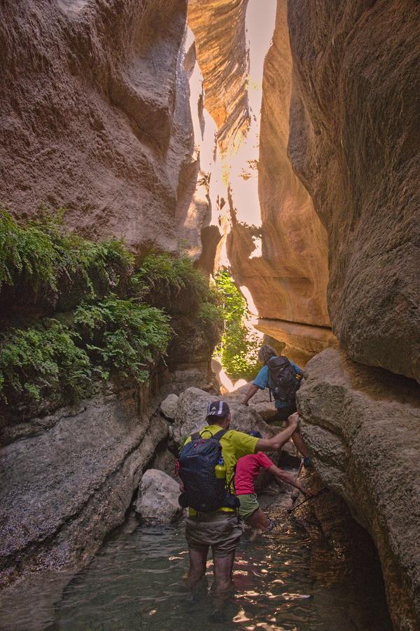 3 hikers walk in a stream through a narrow gorge with orange morning light shining on the rocks ahead