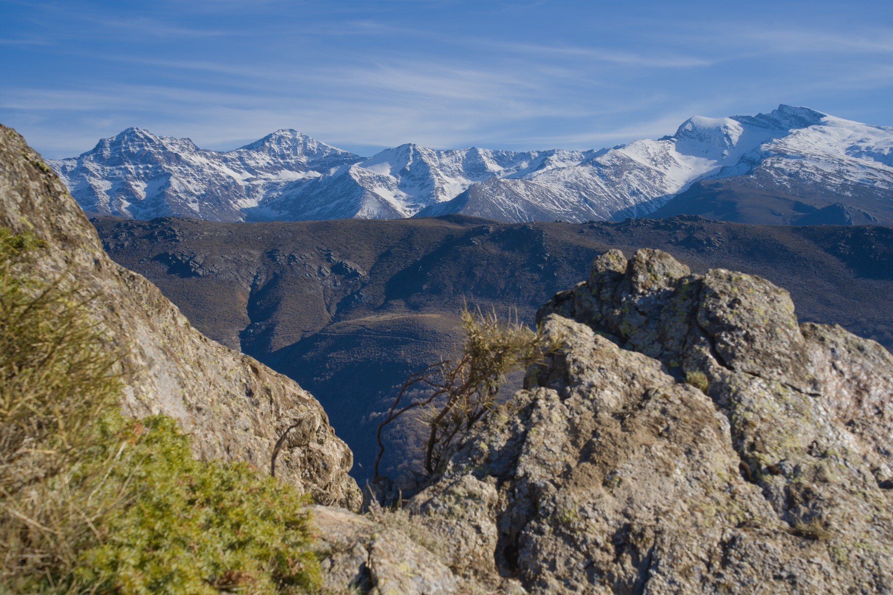 A distant view towards some snow covered mountains. I the foreground some rocks and shrubs