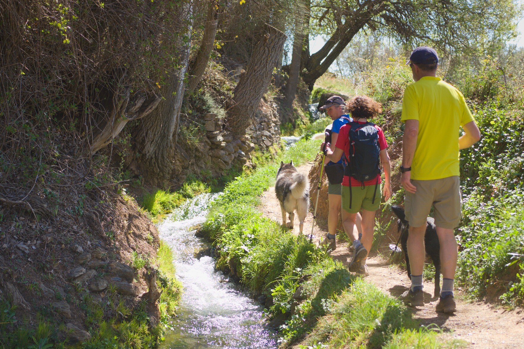 People hiking with dogs alongside an irrigation channel in southern Spain. Lots of greenery to the right and shadows to the left