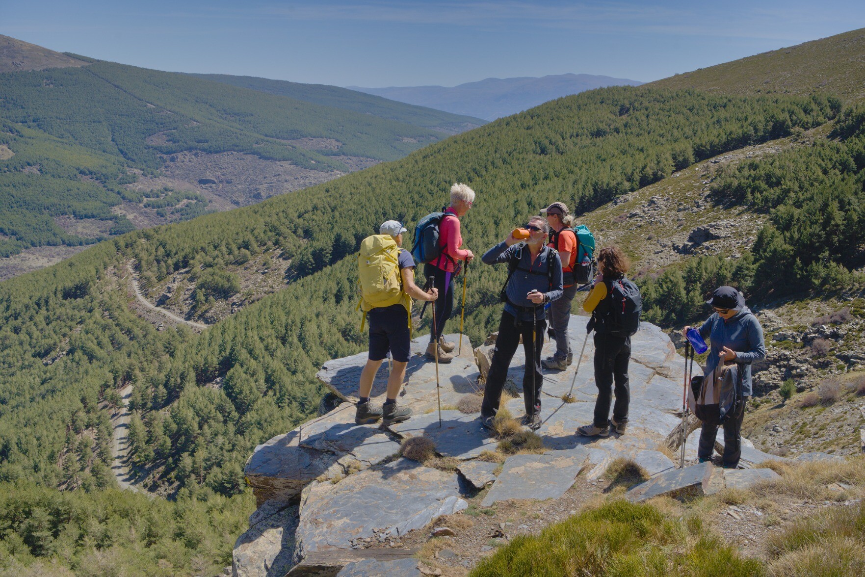 6 people stood on a high rocky platform surrounded by green pine forests