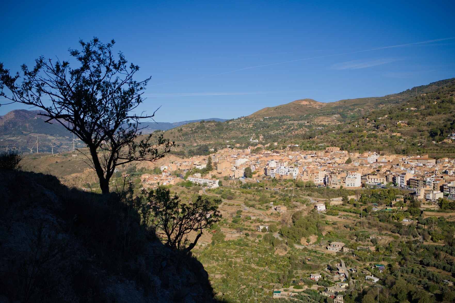 A silhouette of a tree tot he left on a hillside. To the right the spanish town of Lanjaron sits on the hillside 