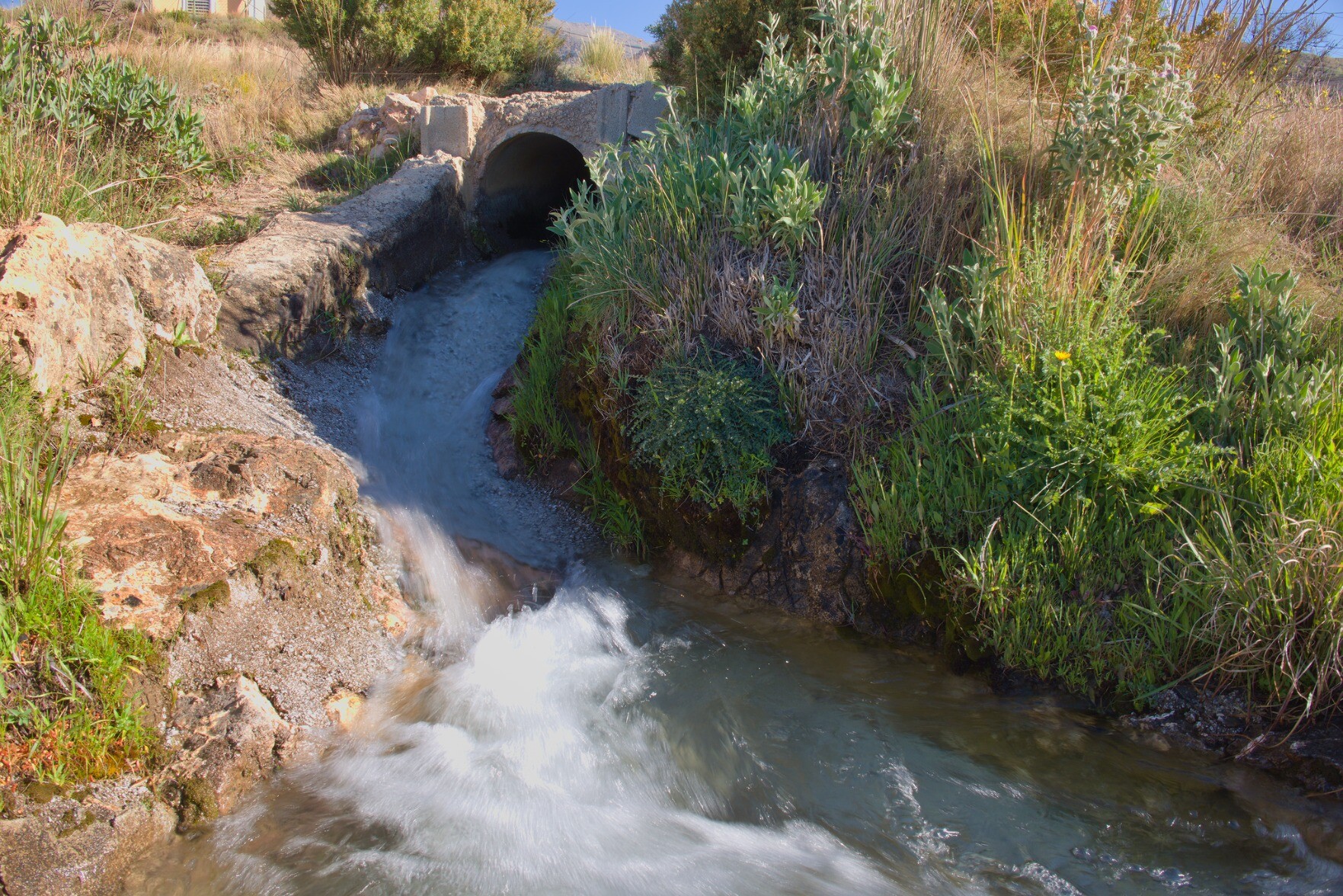 Water flows fast down an irrigation channel. Lots of green shrub to the right