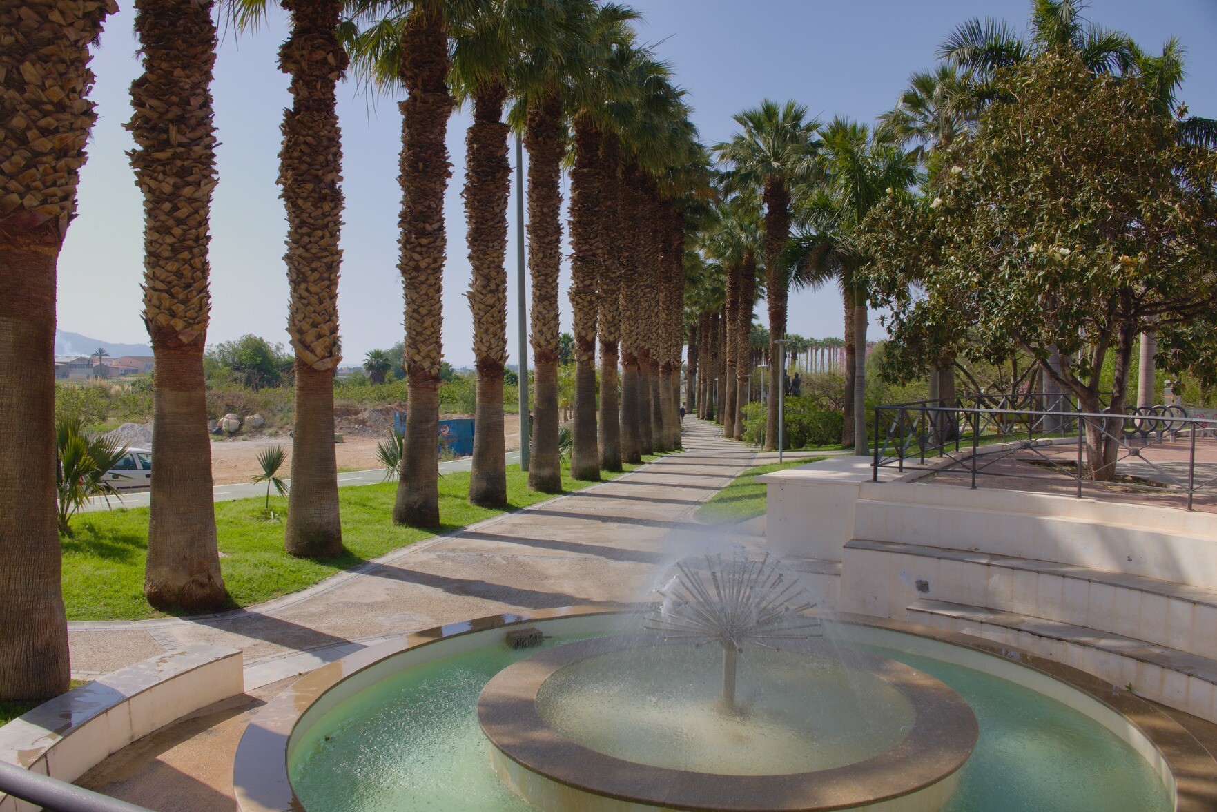 A fountain is in the foreground. behind is an avenue of tall palm trees