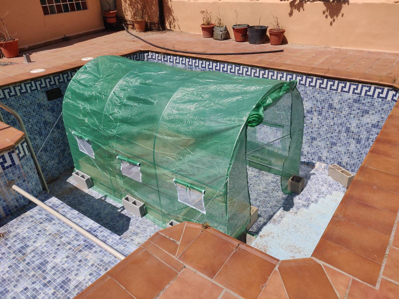 Greenhouse relocated in an old swimming pool