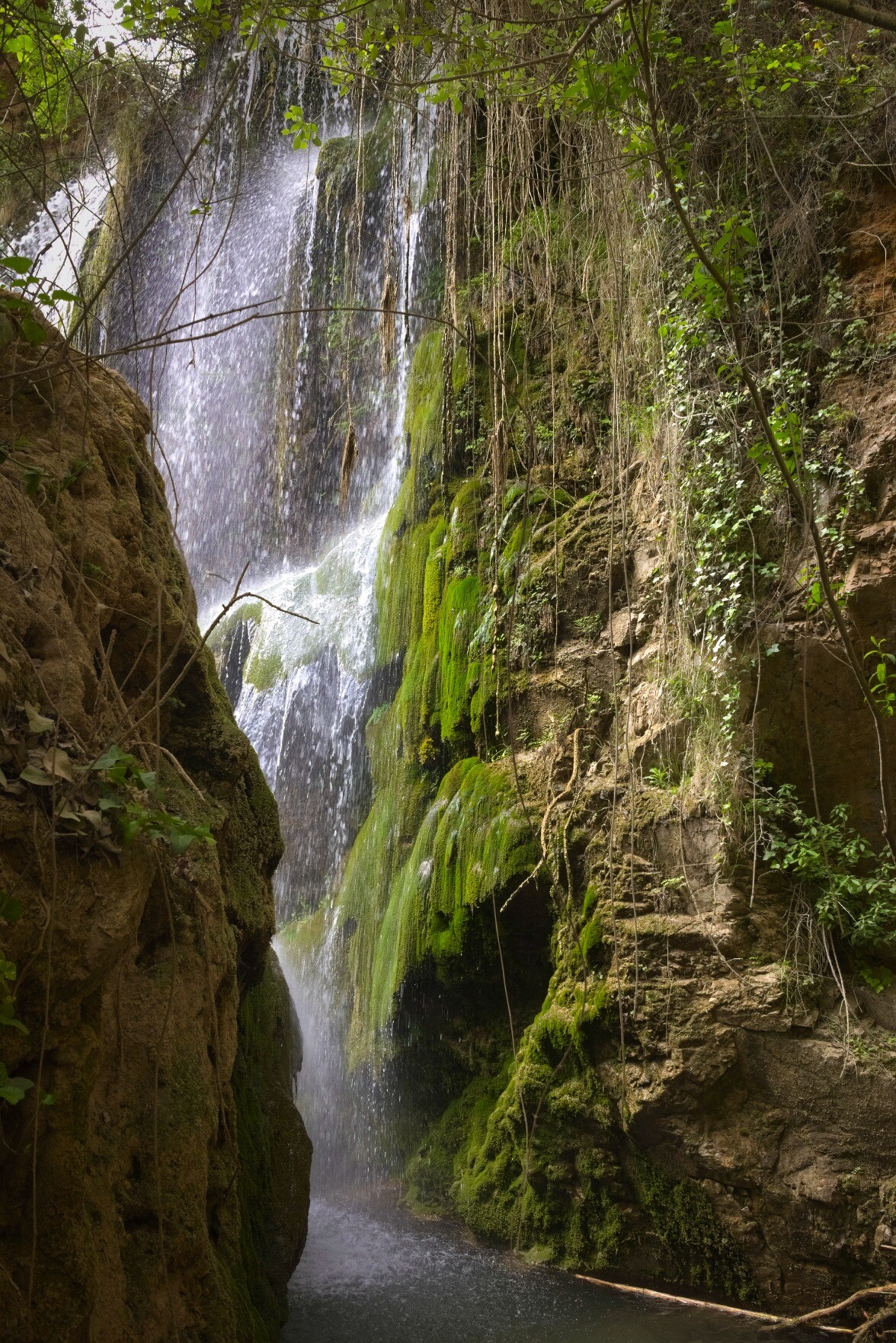 A waterfall drops through heavy green vegetation to the floor. Rock walls line the two sides