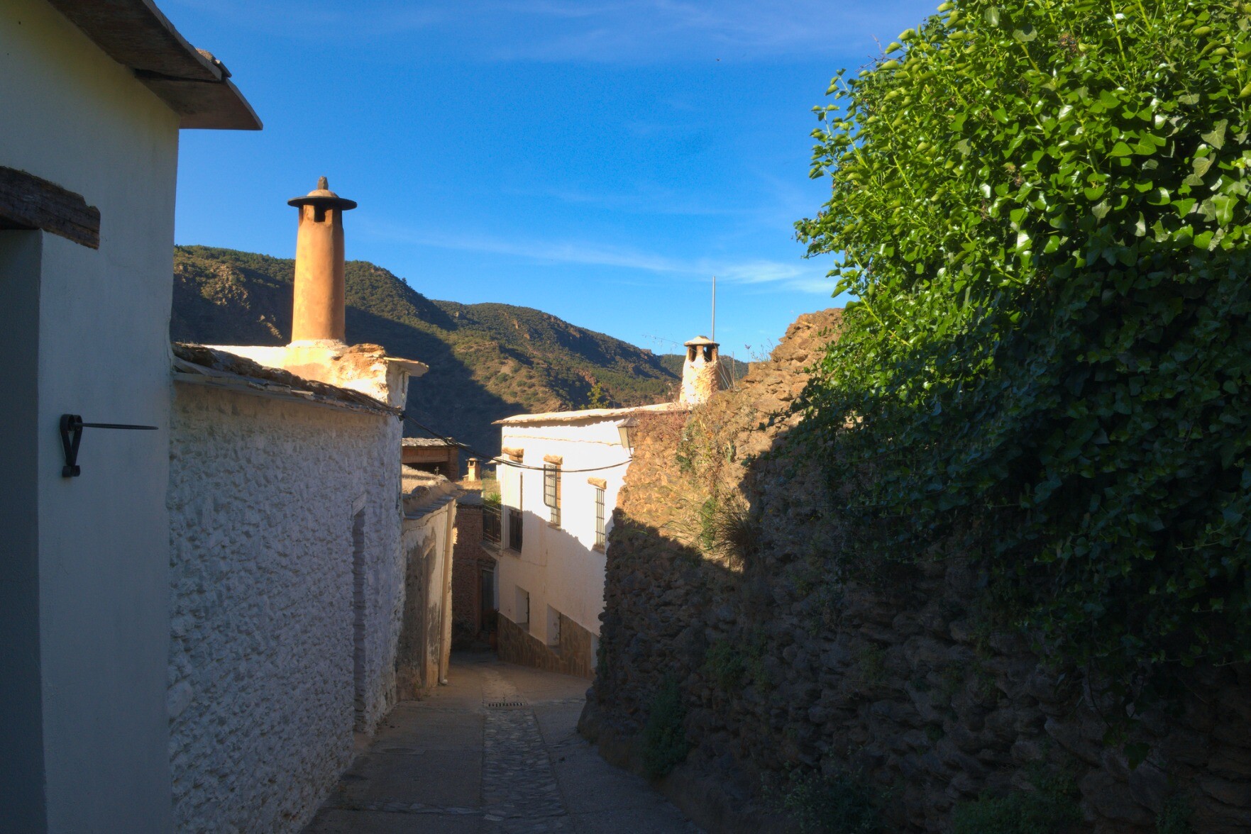 A narrow village street in rural Andalucia, blue sky above and green foliage to the right