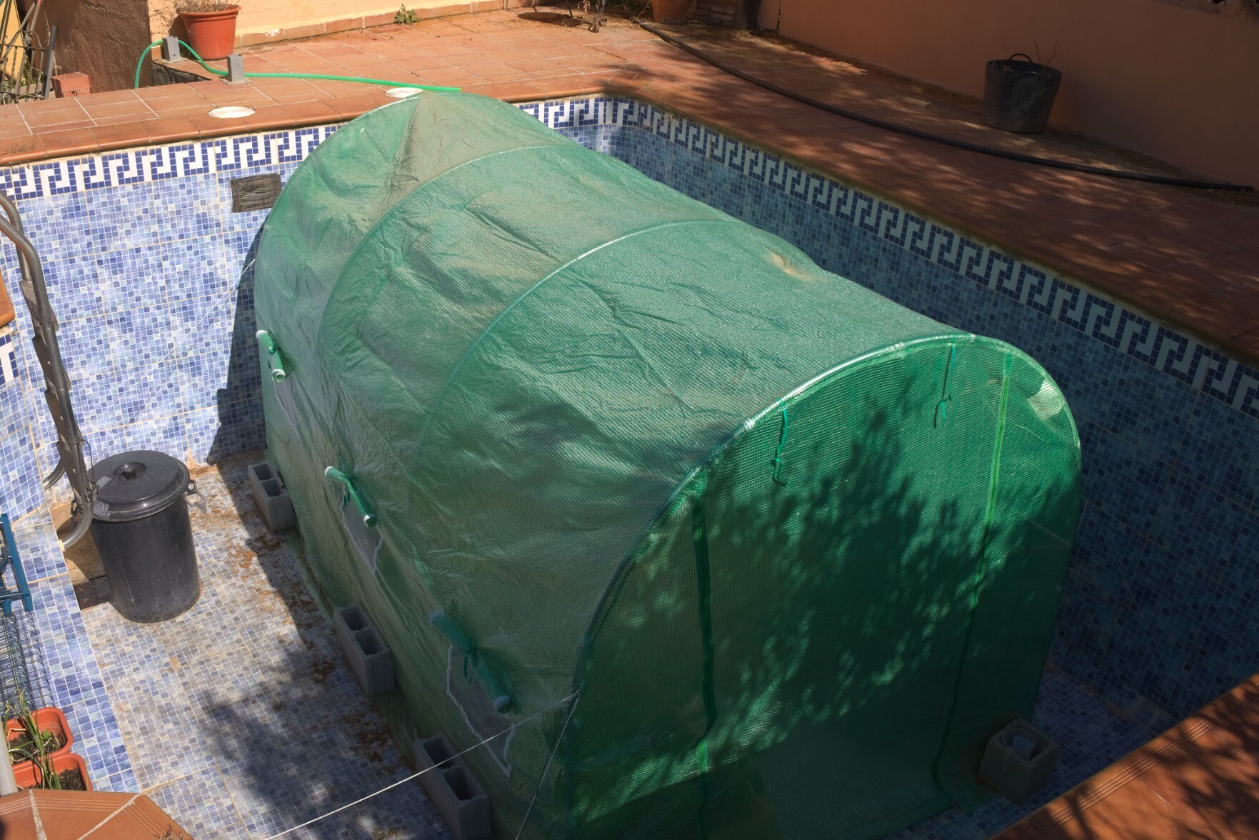 A green polytunnel is built inside of an old swimming pool.