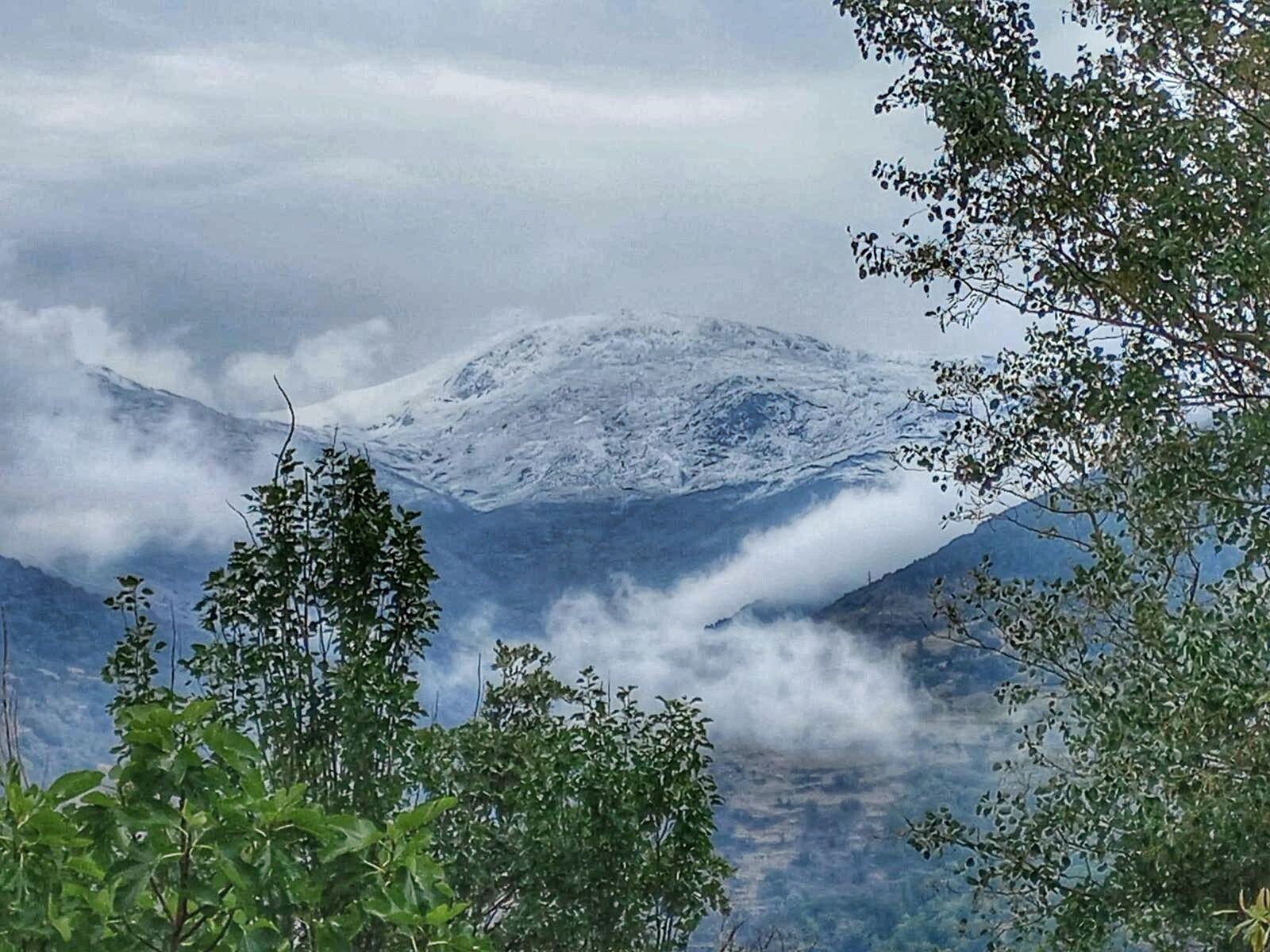 In the foreground are green trees. Through the trees can be seen clouds. Through the clouds emerges a mountain with fresh snow on it.