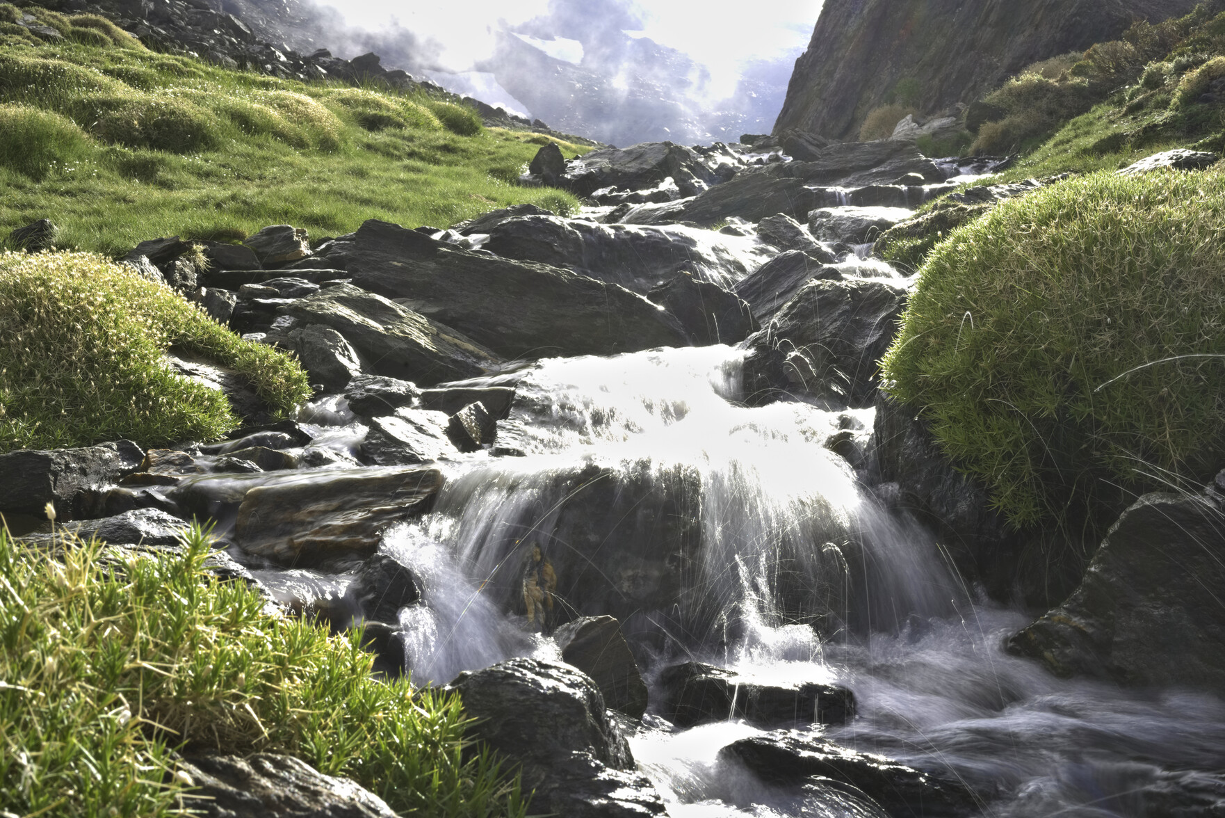 A stream, slowed down in the image tumbles down between some rocks. Water droplets from the stream leap in the air. Either side of the stream are lush green shrubs