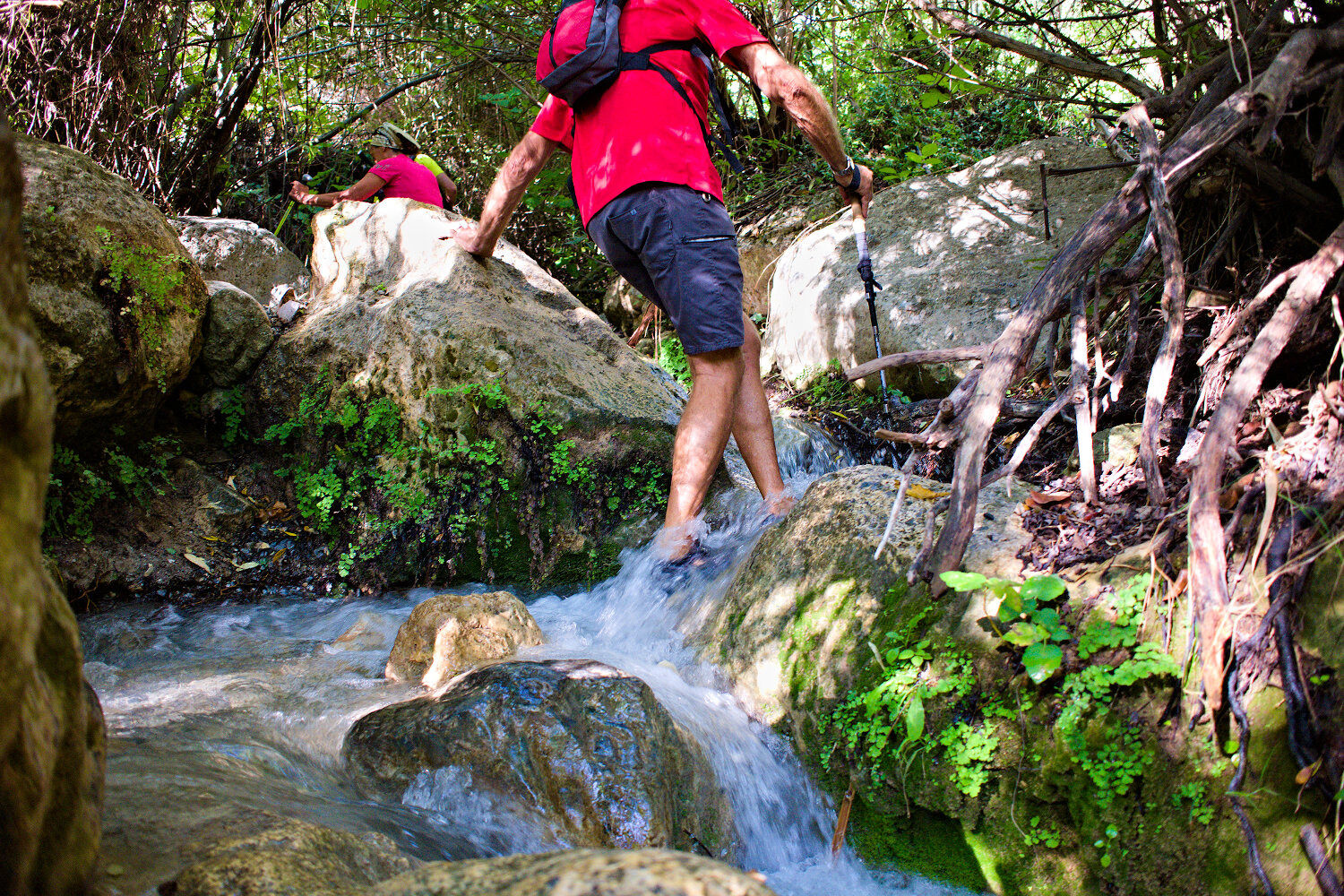 A person with a red tee shirt walks up a stream bed