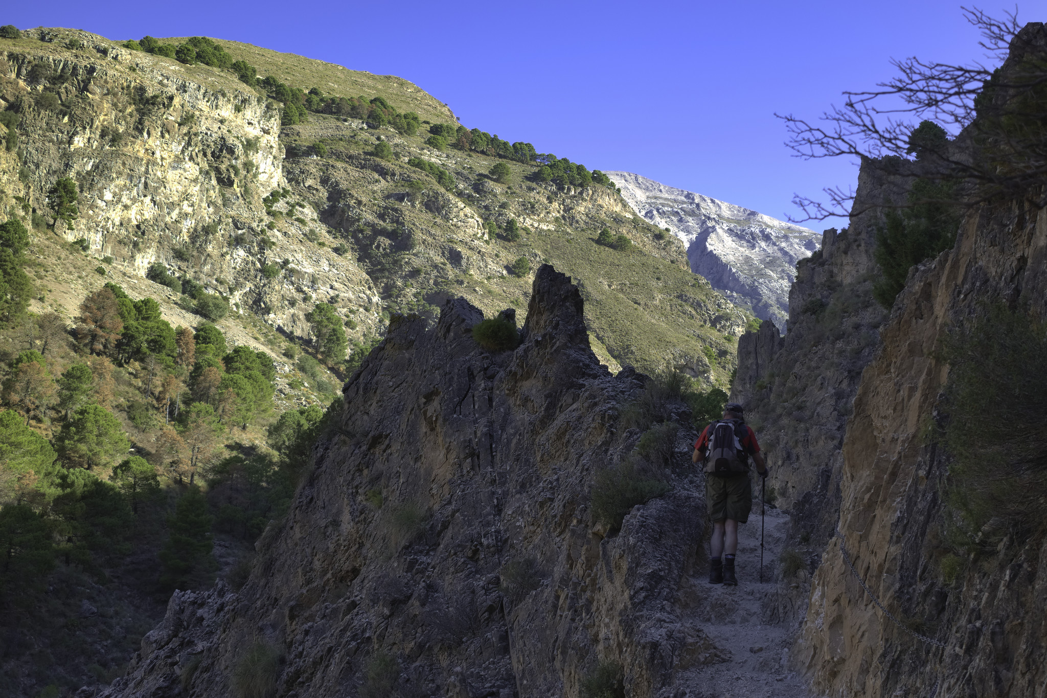A hiker in shadow walks along a narrow path with a deep gorge to the left