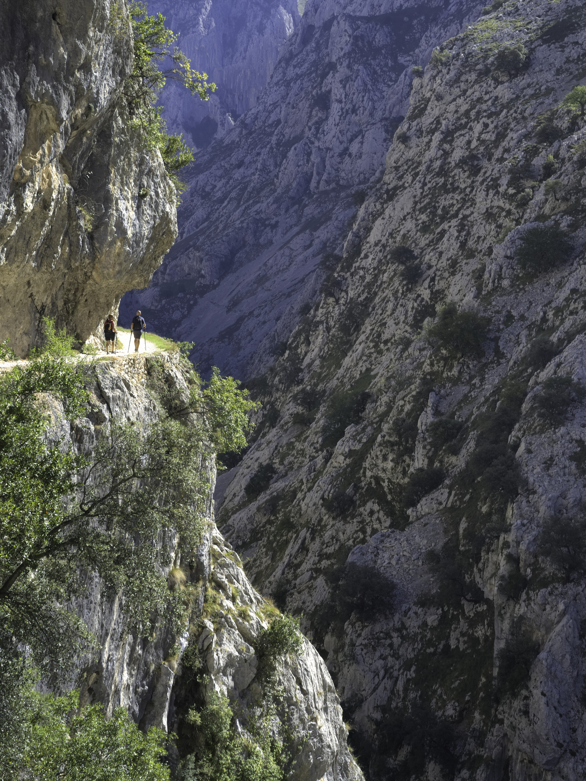 A narrow mountain track cuts across from the left, with lots of green shrubbery. A deep gorge lies to the right in shadow