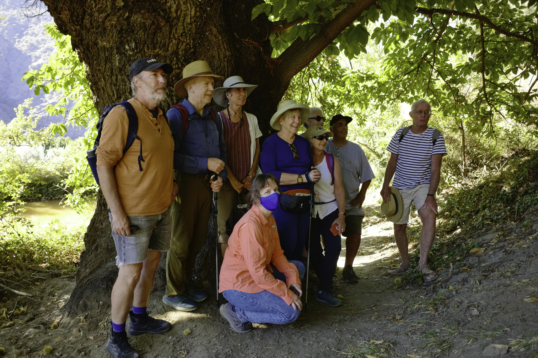 A group of hikers stand under an old oak tree