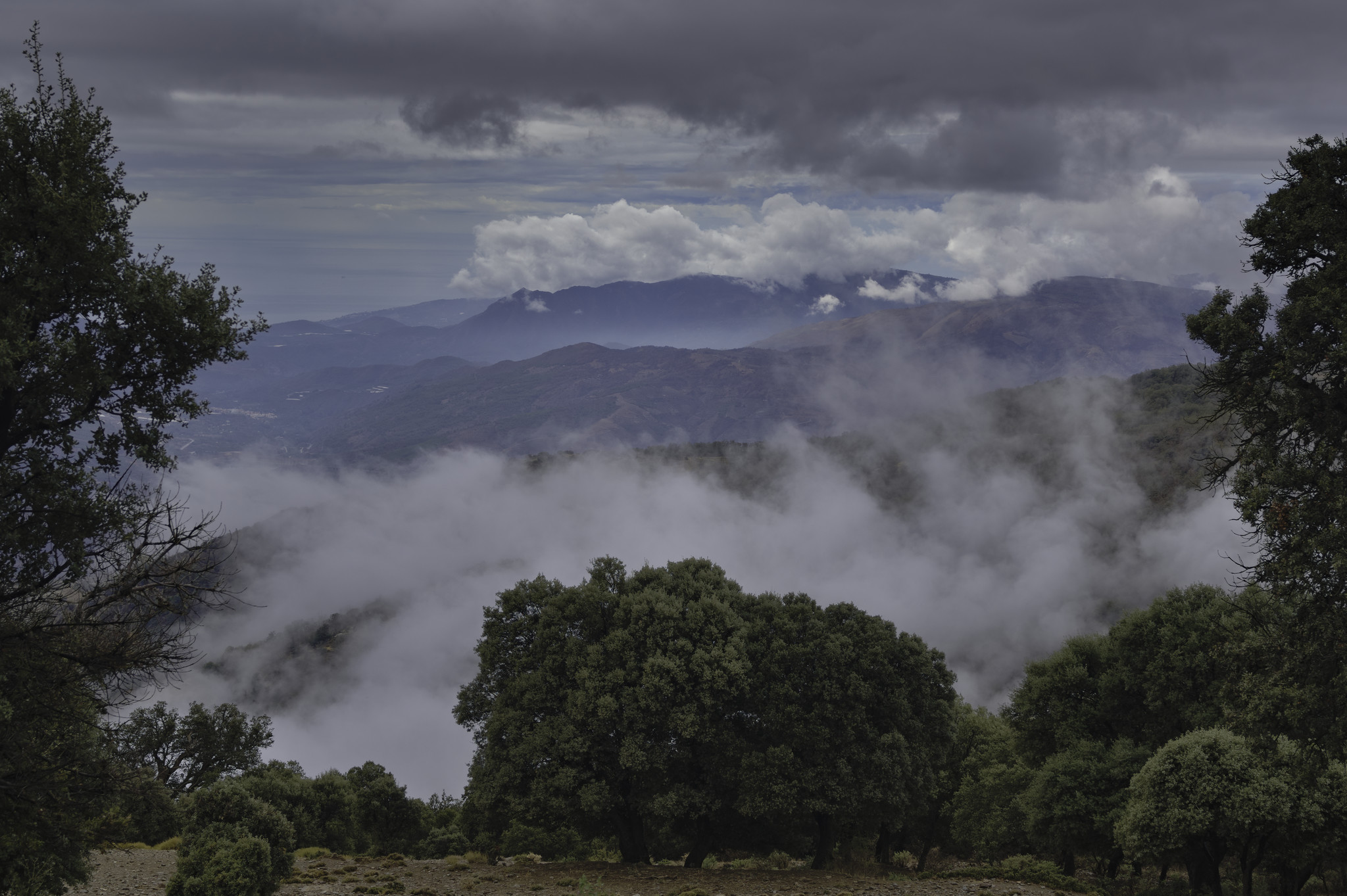 Various levels and colors of cloud clear briefly from the mountains. Layers of ridges trend back to the horizon. Some trees are in the foreground