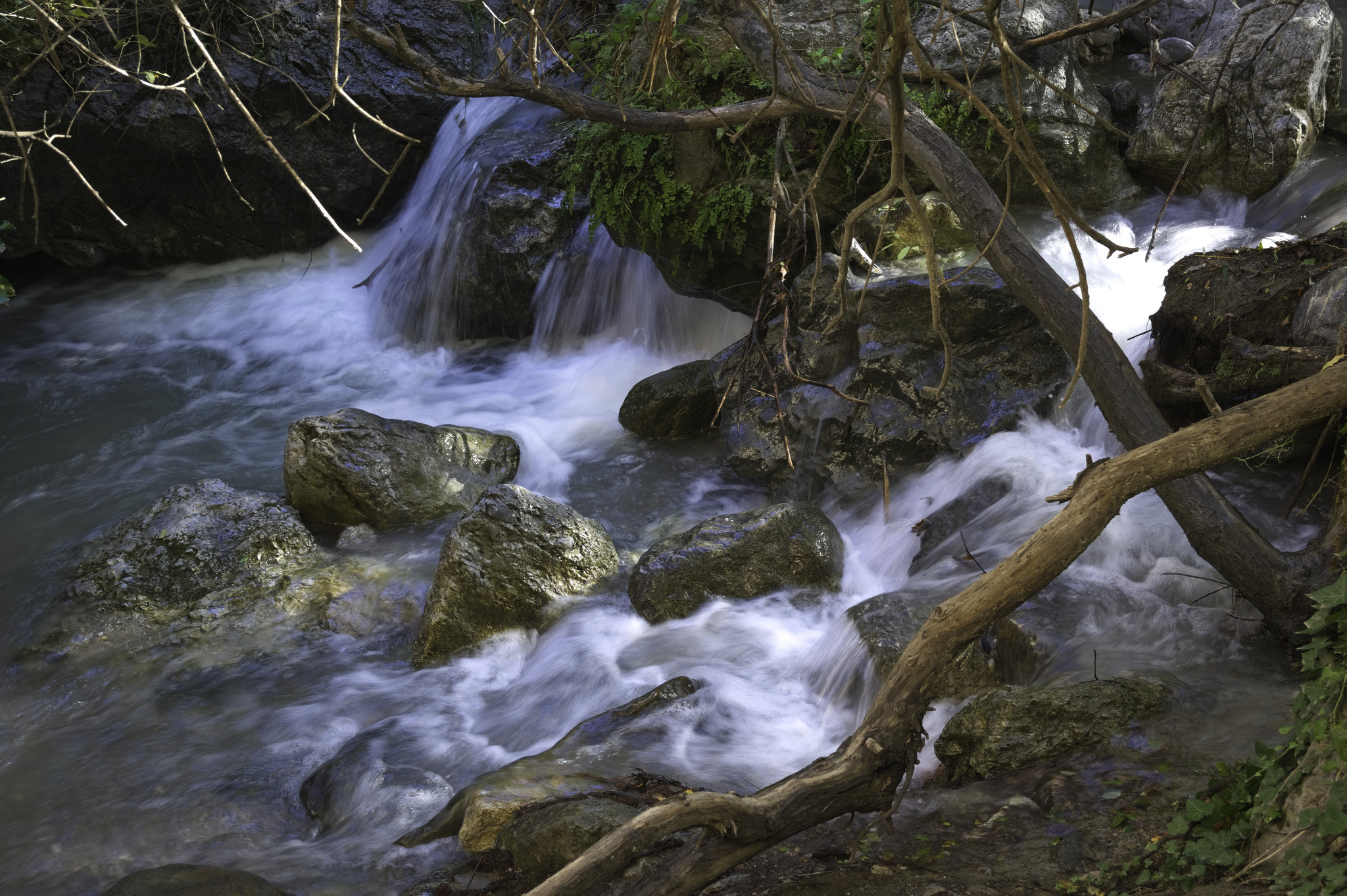 A river cascades over some rocks and broken branches