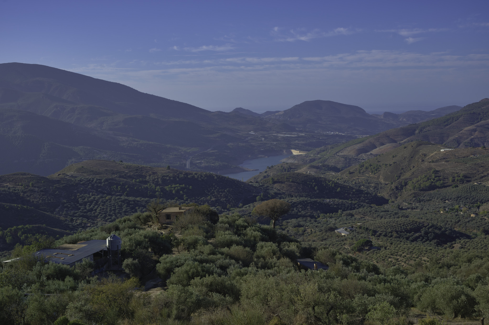 In the foreground are some rural house surrounded by olive trees. In the distance is a blue reservoir some small hills and the sea beyond.