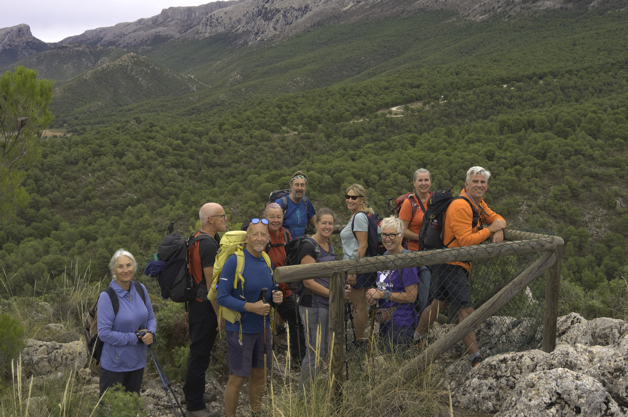 Group of hikers at a viewpoint with lush green forests around