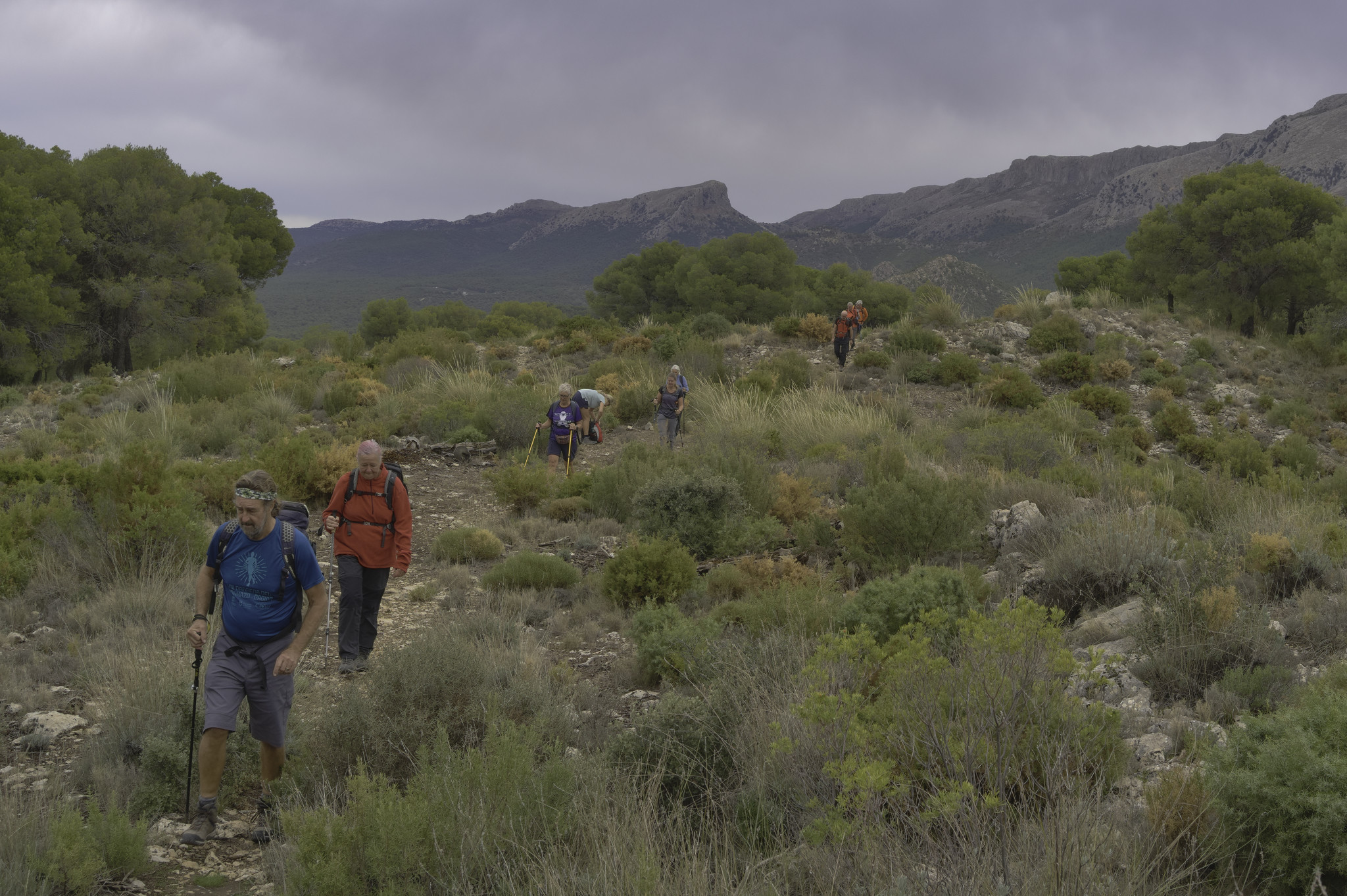 Some hikers walk towards to camera across a shrub filled landscape. A prominent mountain behind