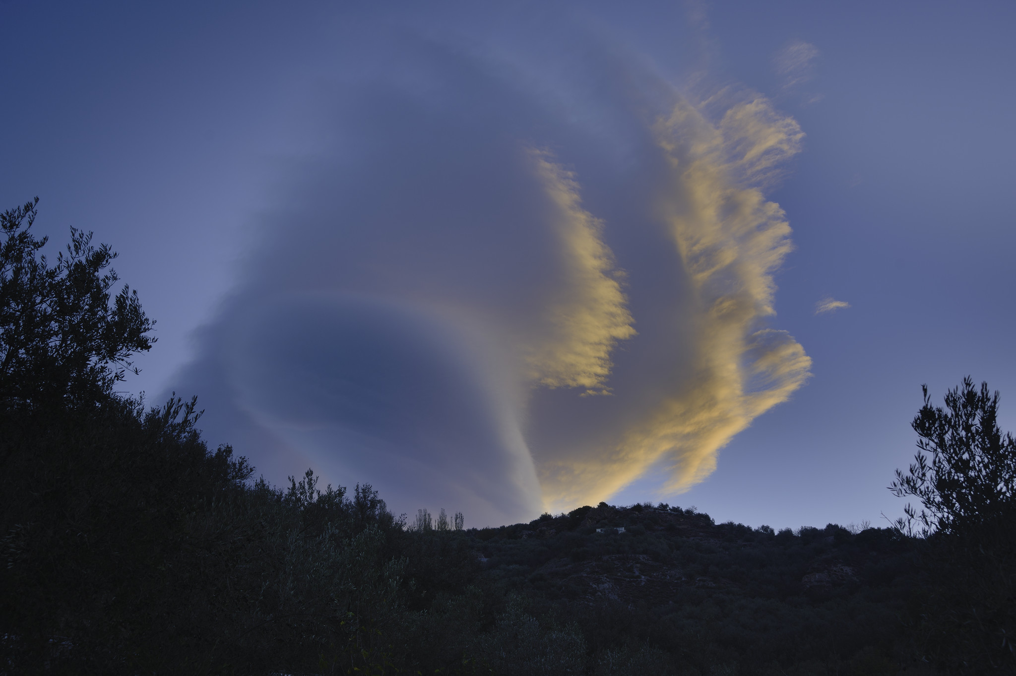 A lenticular cloud with its right hand edge turning orange from the glow of the rising sun