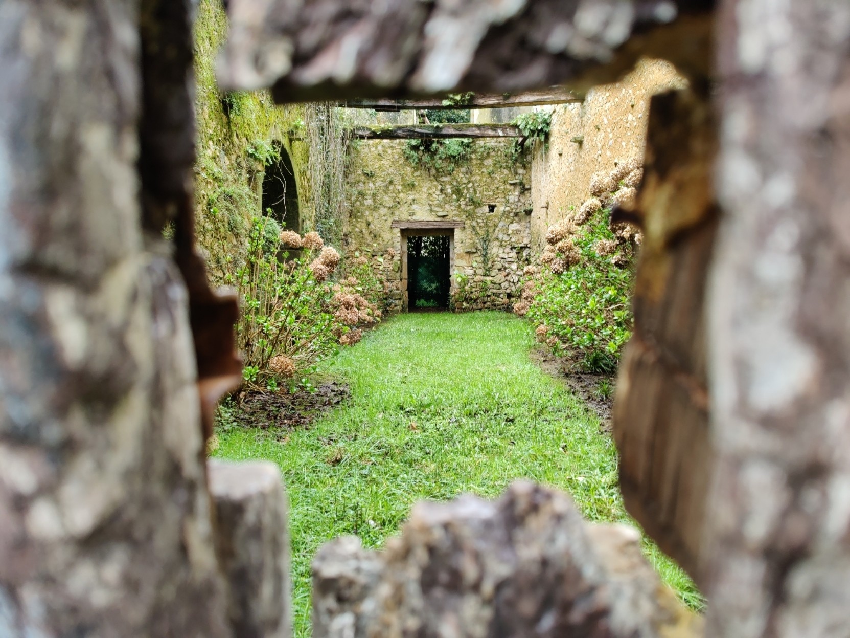 Peering through a broken fence to reveal a hidden green garden