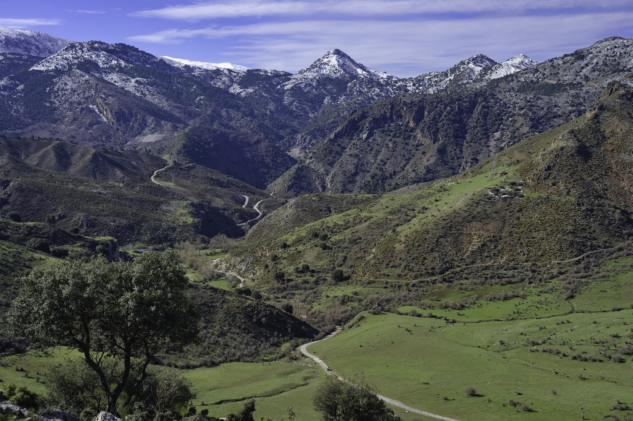 Beautiful green alpine meadows with a track running through them into the distance. Behind rise a series of interesting mountains covered by snow