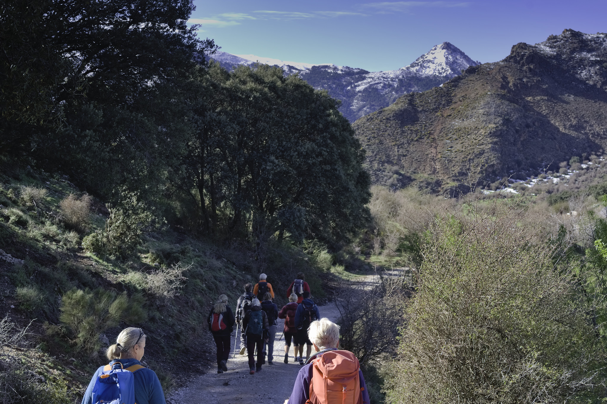 A group of hikers walks along a broad path. Lots of greenery to the right. At the back rise the snow covered Sierra Nevada mountains of Spain