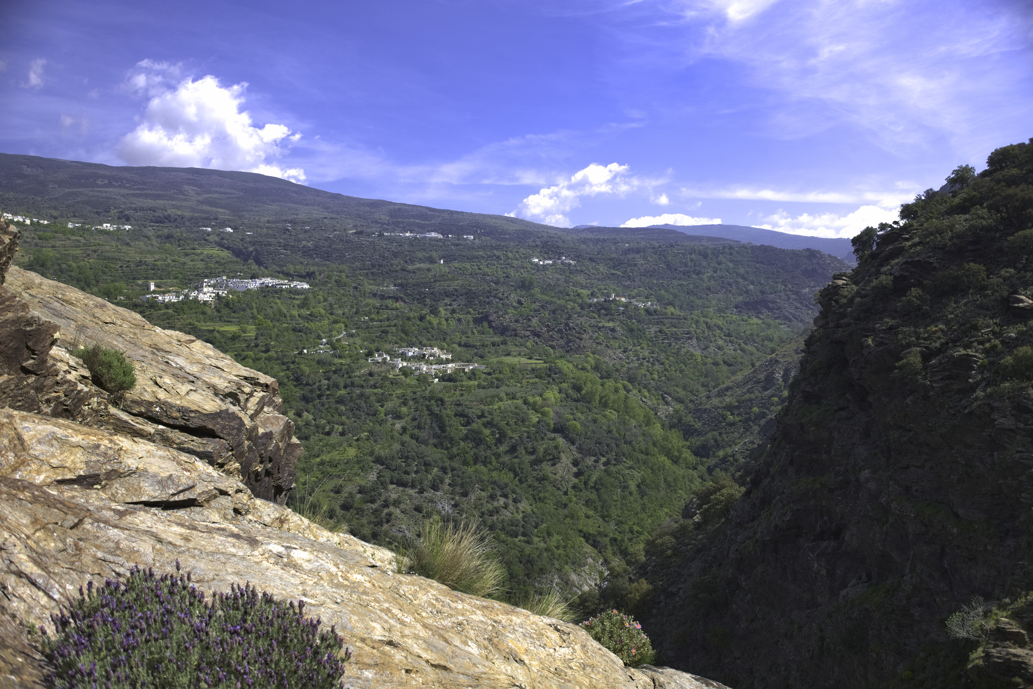 Looking down a steep gorge to the Rio Trevelez river. On the green slope opposite are some small mountain villages of La Taha