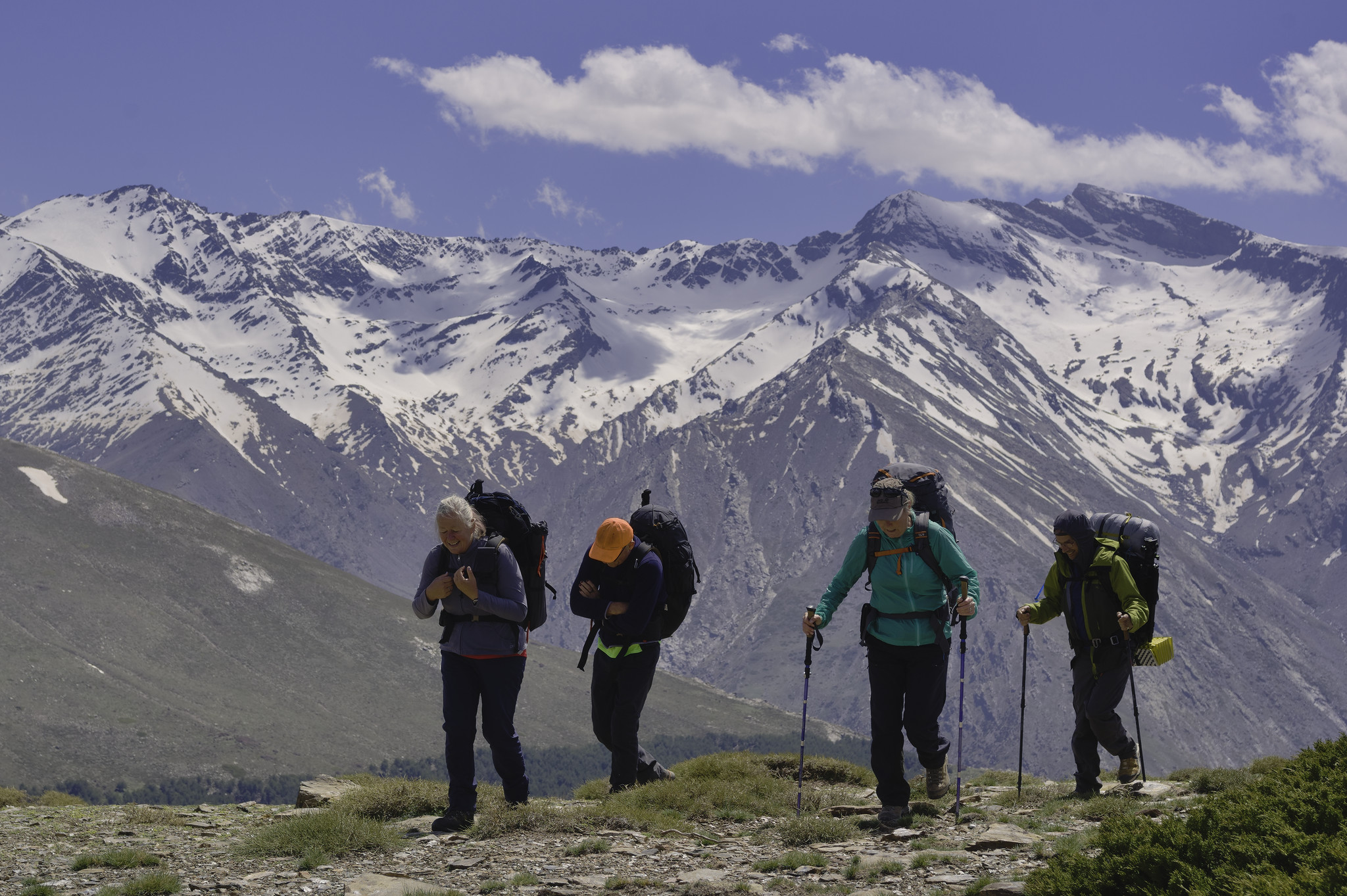 Four backpackers hike along a path with snow clad peaks behind them