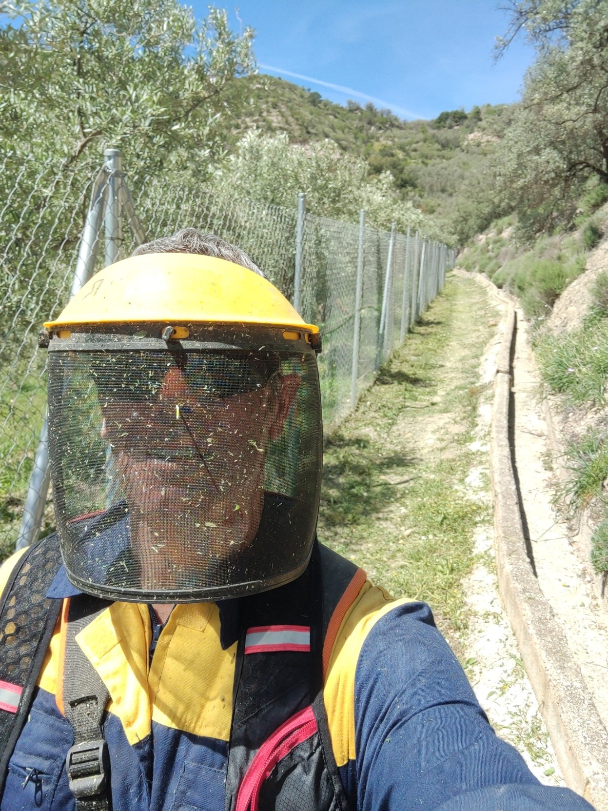 Person in yellow protective head shield and dark glasses stands on a green path. To the right is an irrigation channel and to the left a grey fence