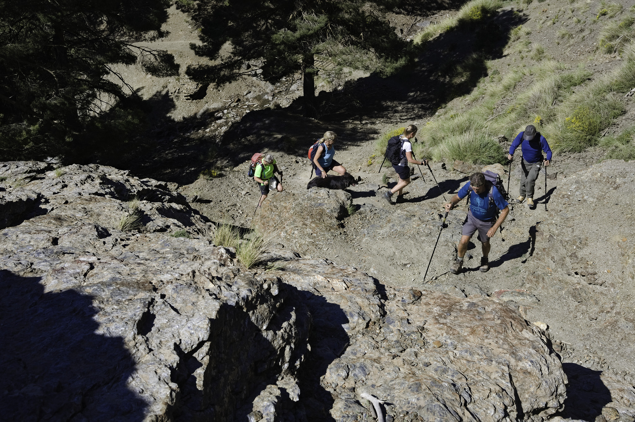 A group of 5 hikers walks up a steep trail