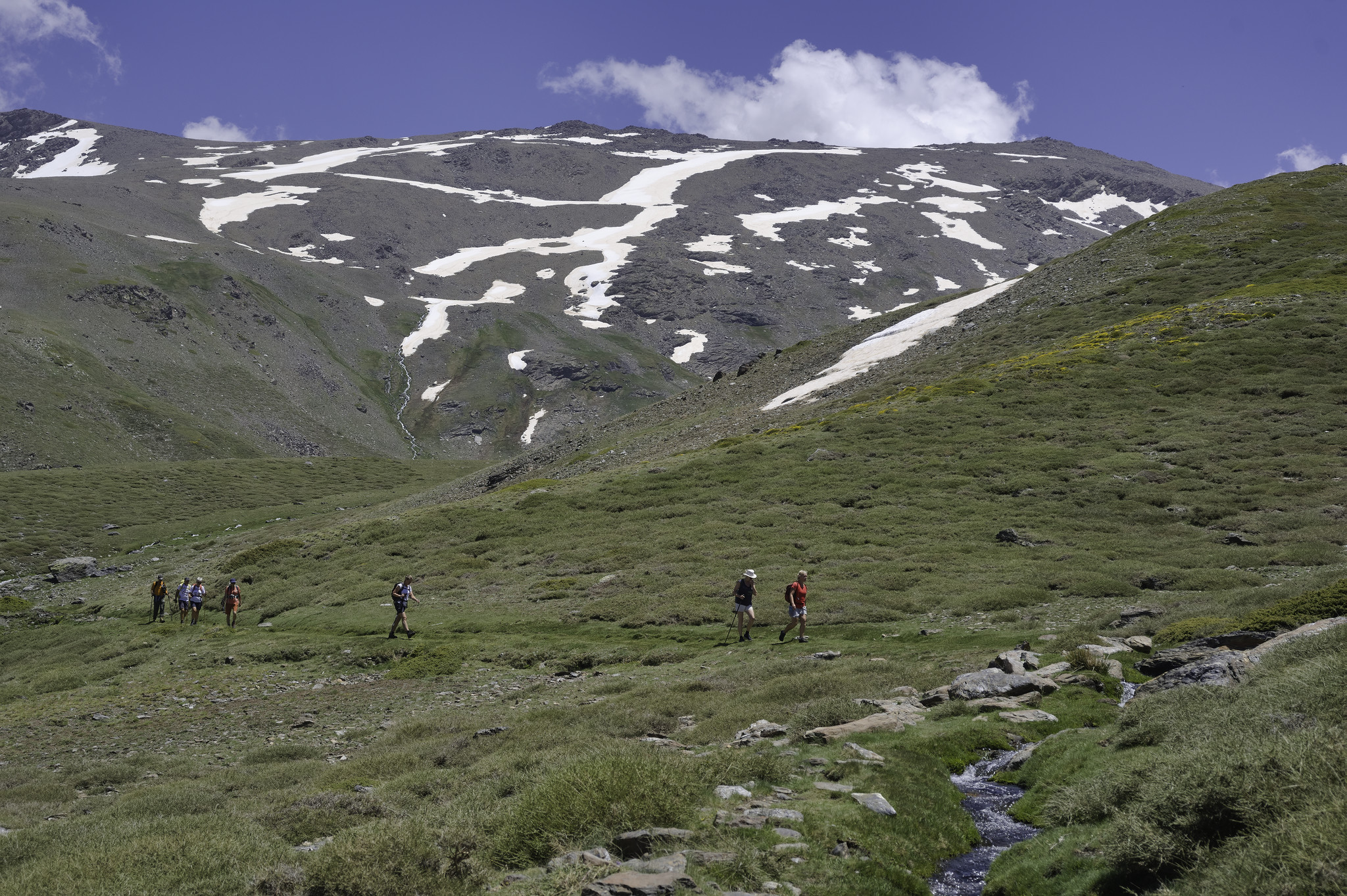 A group of hikers passes along a small path with a large valley up and behind. In the distant some remnants of snow still remain on the high peaks
