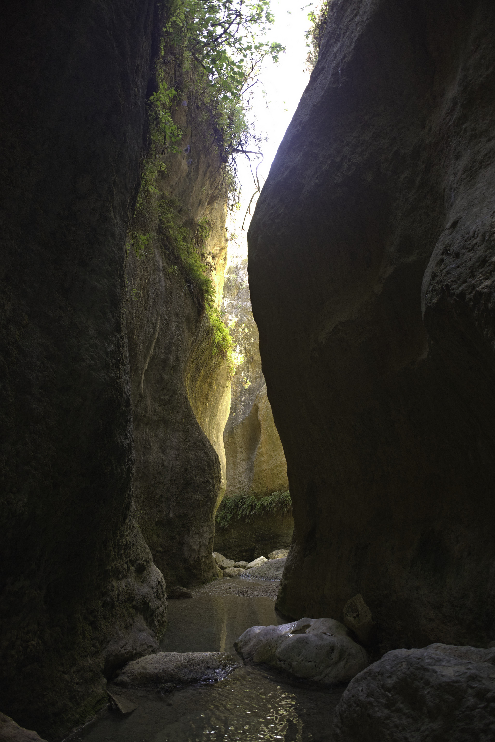 A stream runs through the base of a dark gorge. Beyond lies sunlit rock walls and green foliage