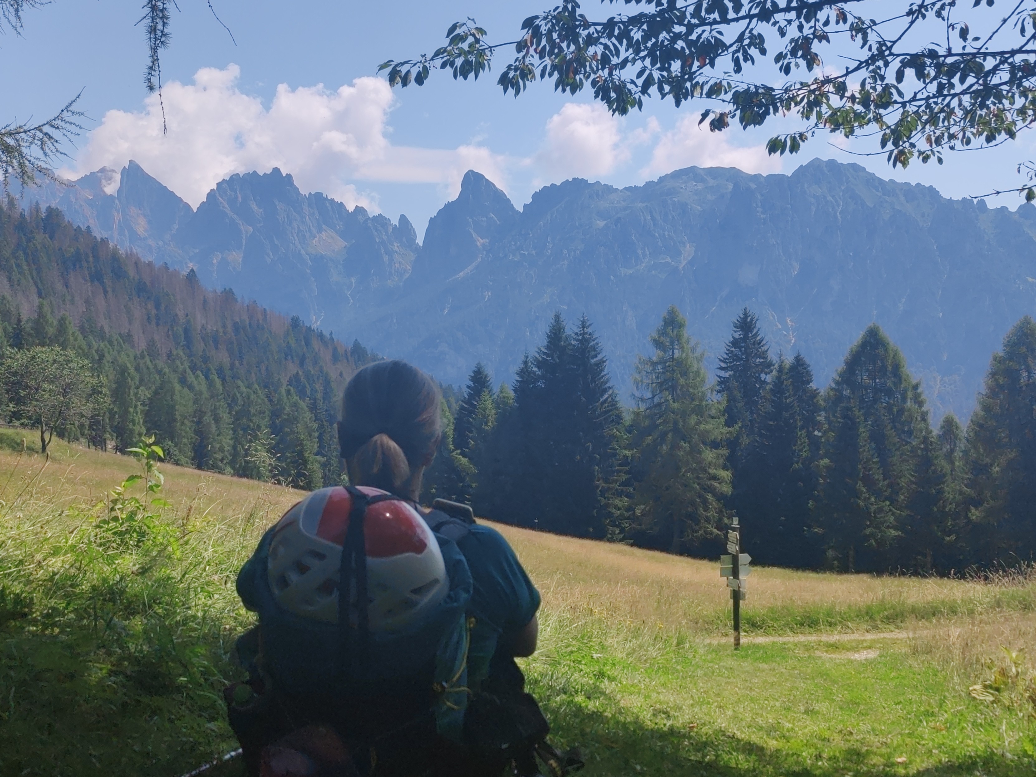 A person with a climbing helmet attached to a rucksack stares at the green pastures in front. Behind are a range of mountains and pine trees