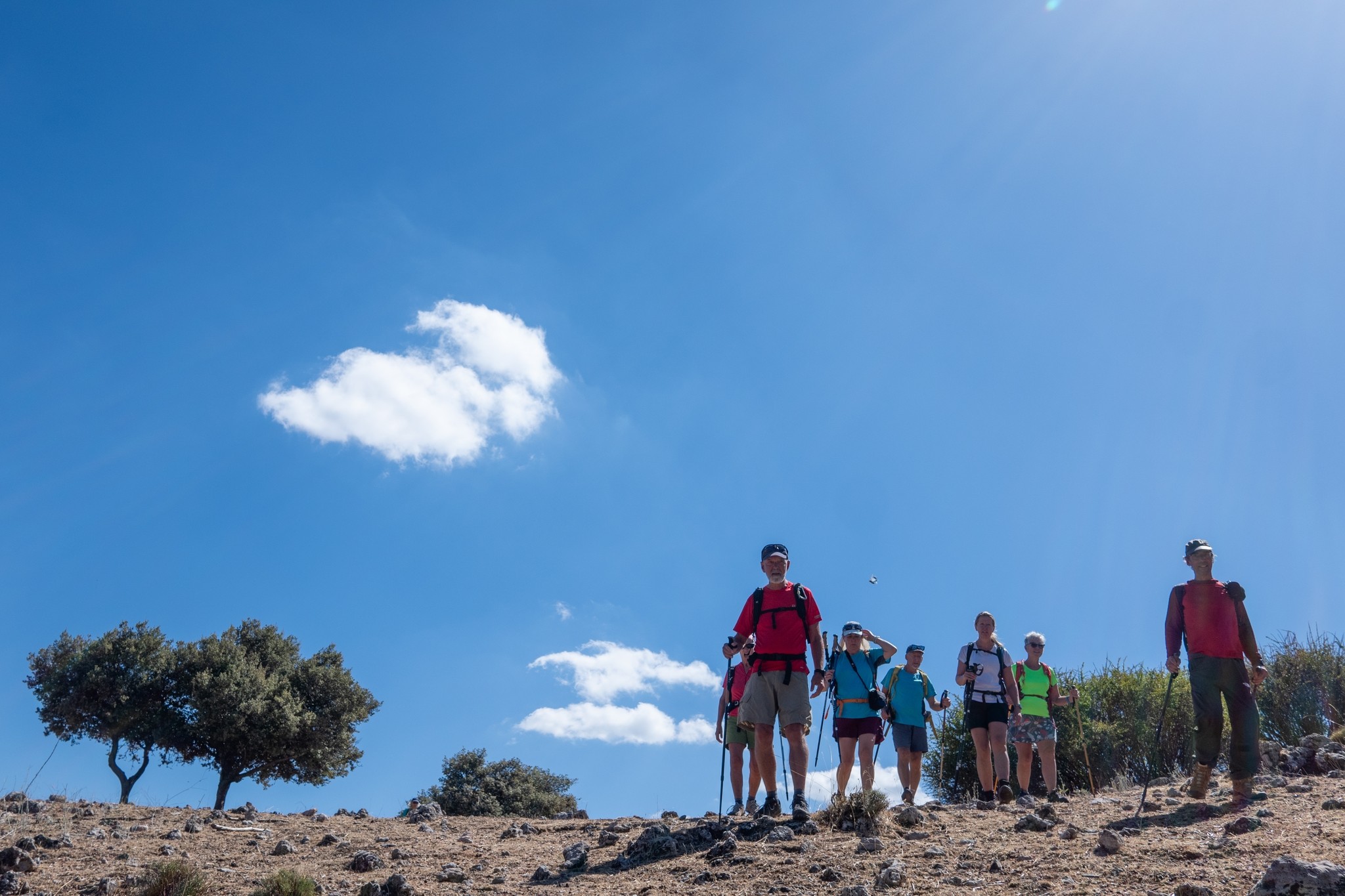 A bright blue sky with a few clouds overlooks a small group of hikers and some lone trees
