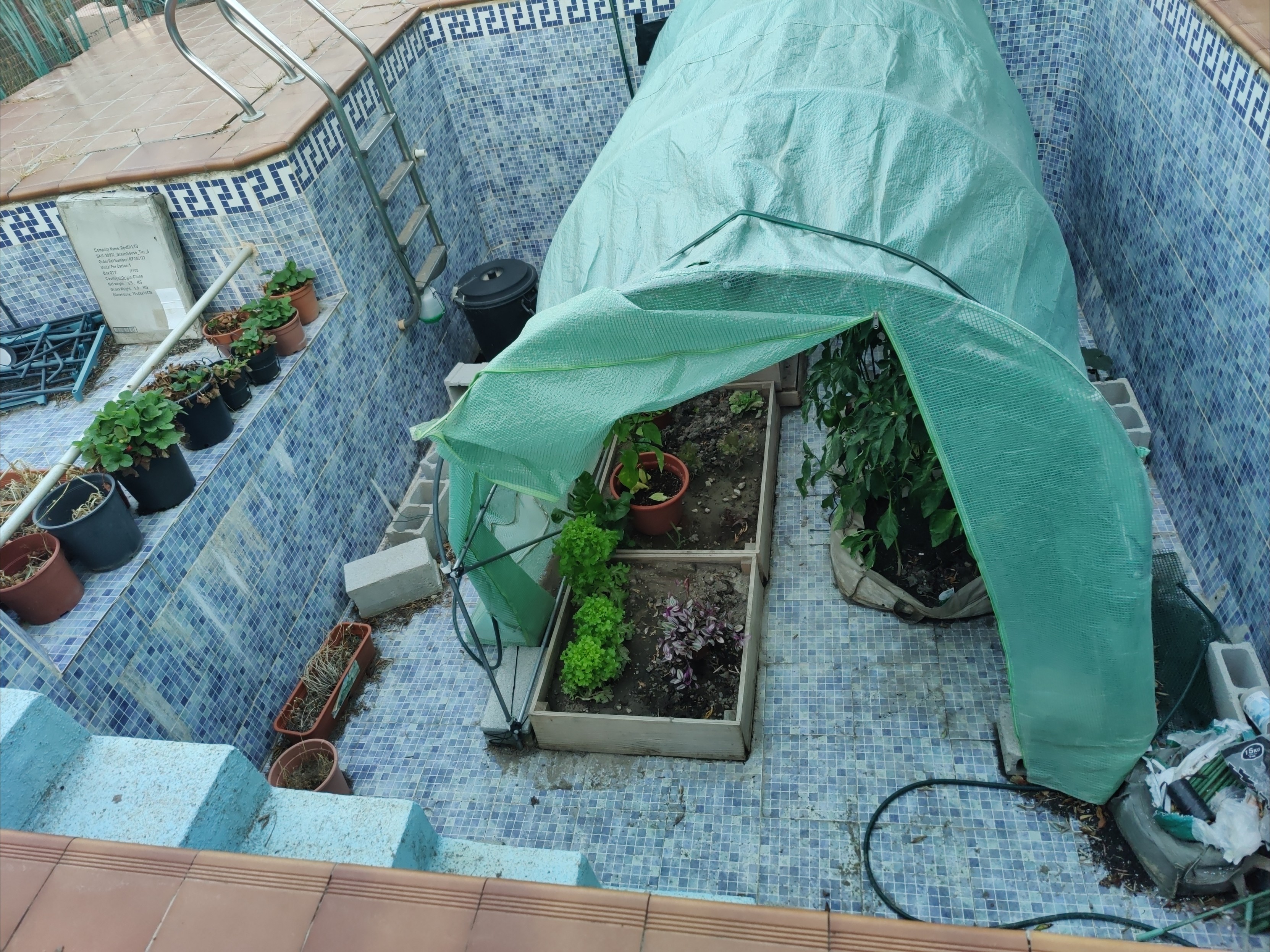 A greenhouse stands in an old swimming pool