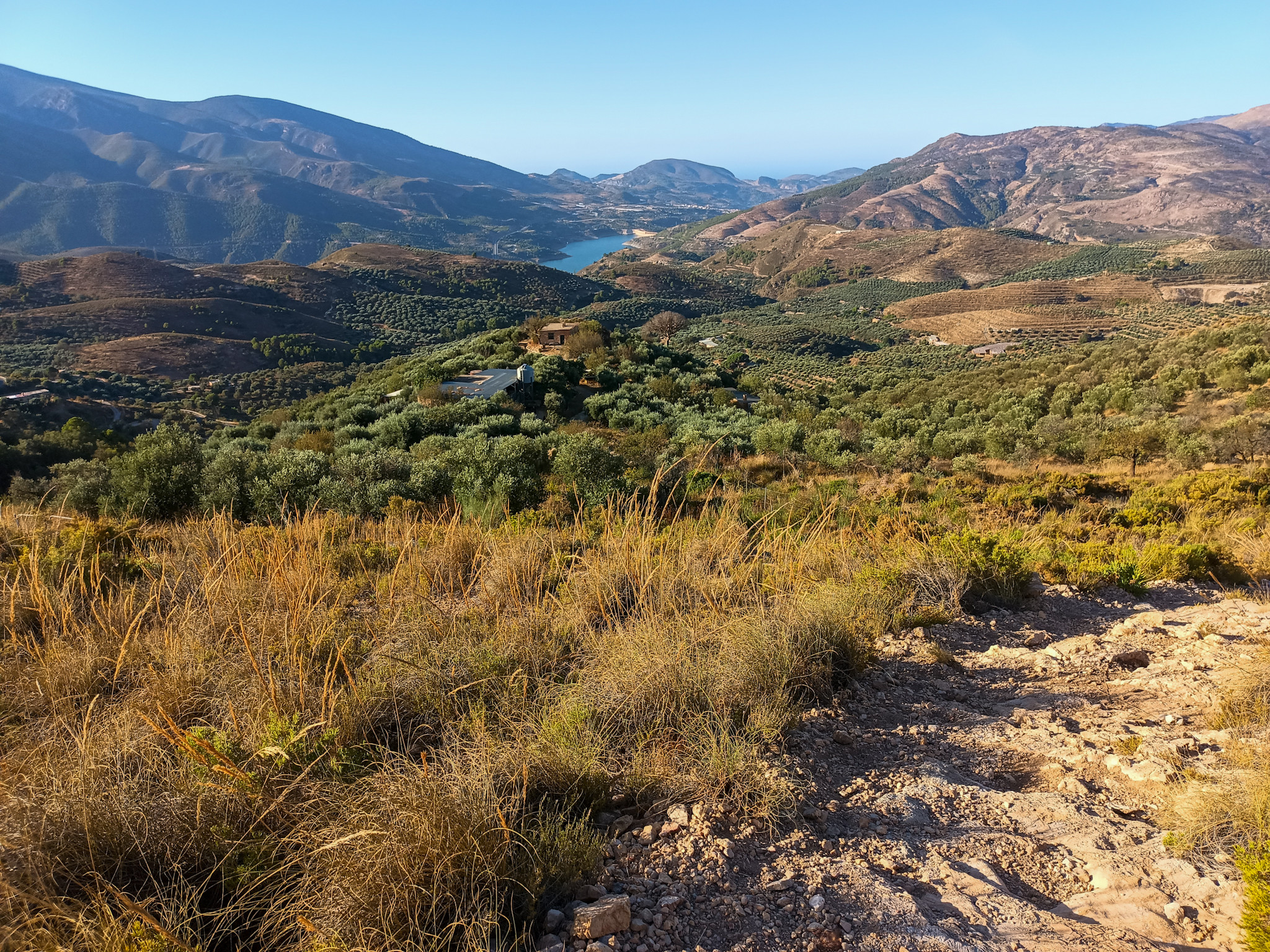 Orange and greens predominate this landscape image. There is a lake in the distance and some hills