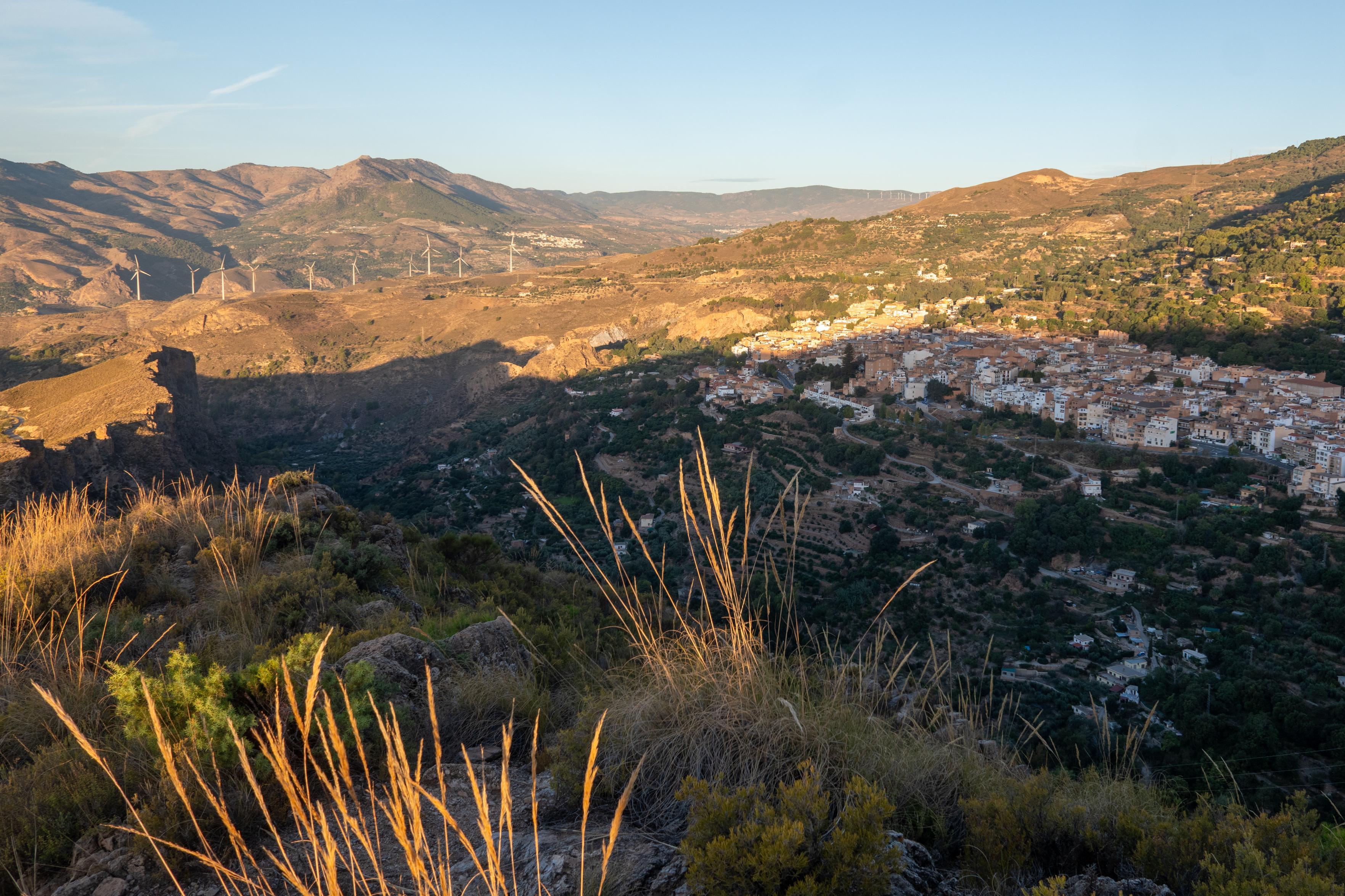 Some reeds in the foreground are lit up by the morning sun. In the distance, a town begins to receive the sun's rays.