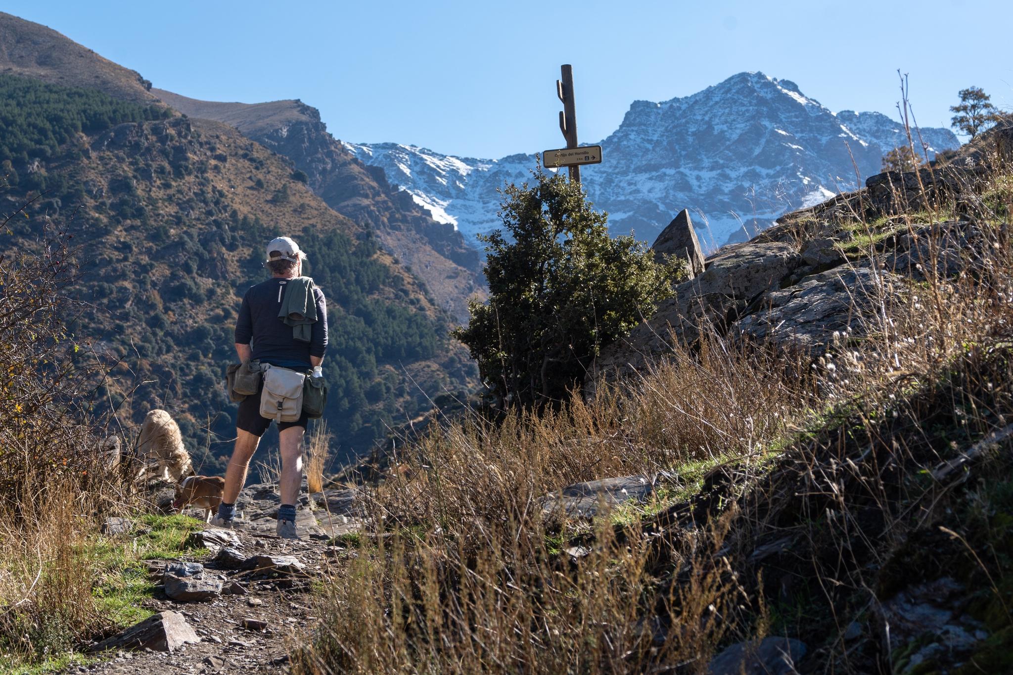 A person approaches a trail sign with a huge snowy mountain rising above