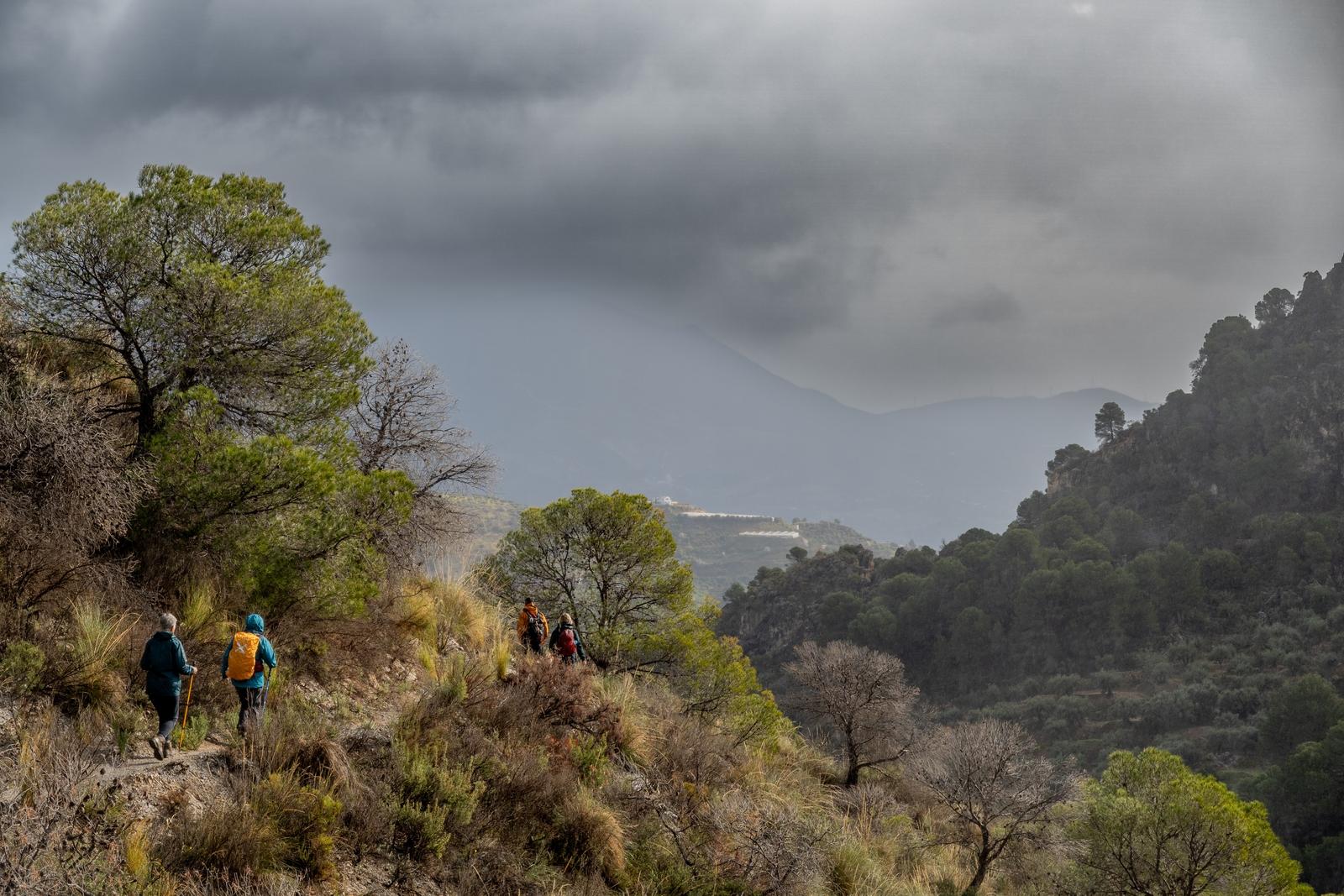 A patch of sunlight on the trail in a break from the rain showers looking above