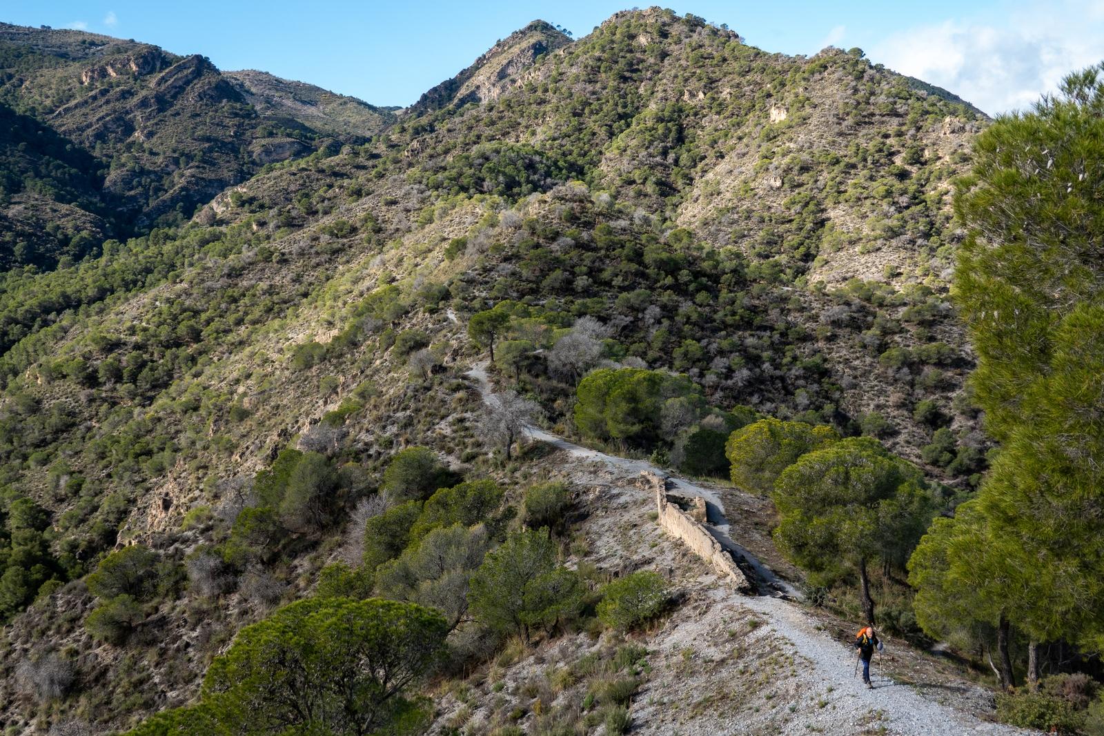 A person walking down a hiking tail on the bottom left. The trail extends upwards into woodlands and open hillsides