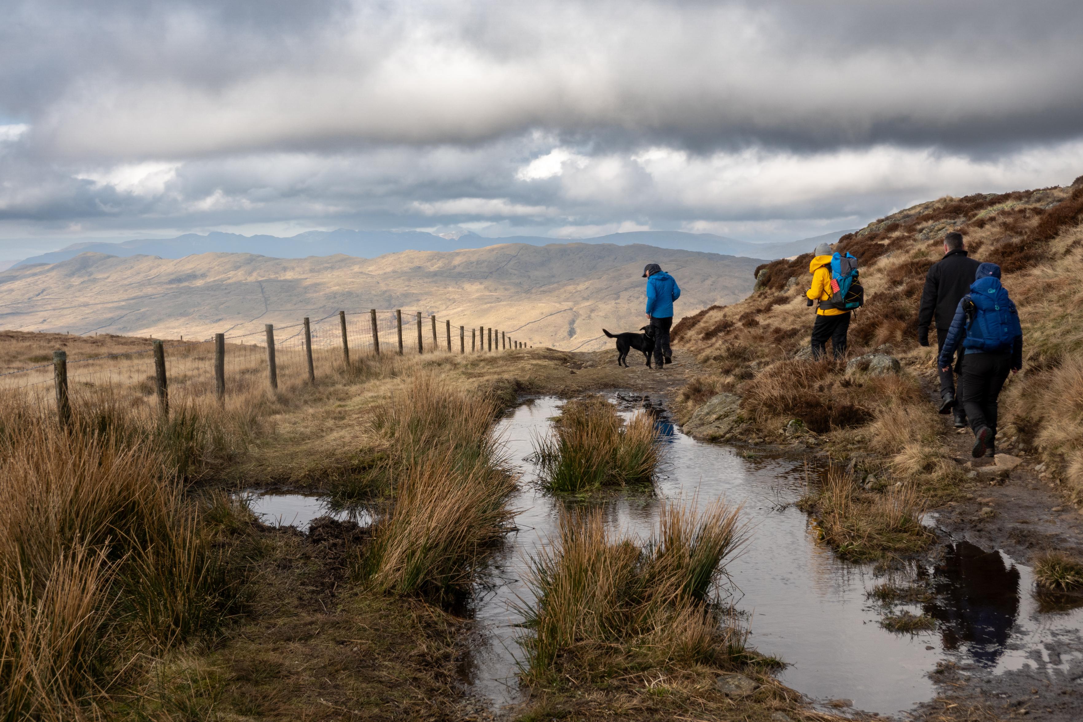 Hikers pass to the right of a wet boggy area of track. A fence runs along the left