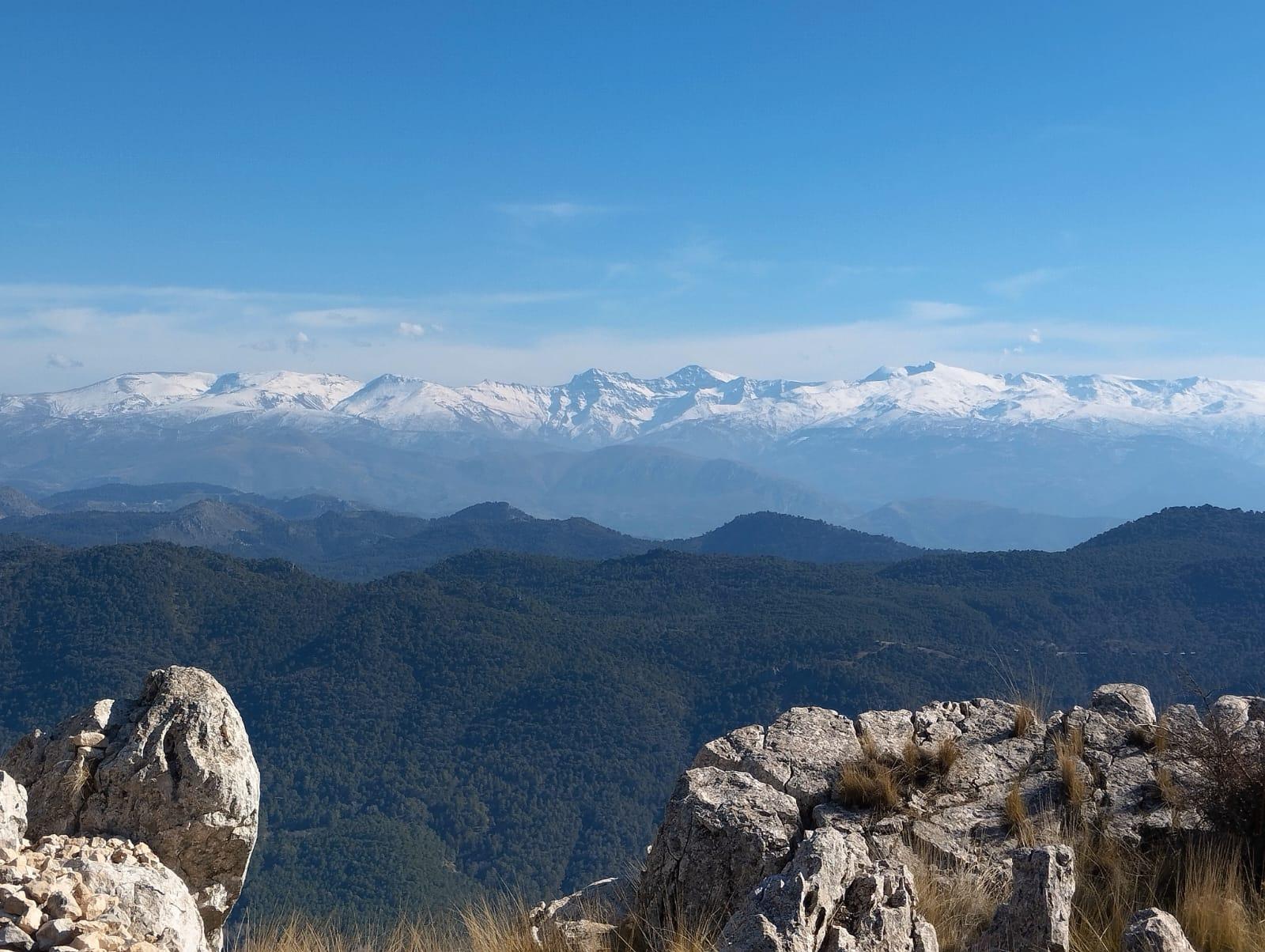 A line of 3000 meter snowy peaks fills the horizon. Closer are pine forests, rolling hills and some rocks and boulders