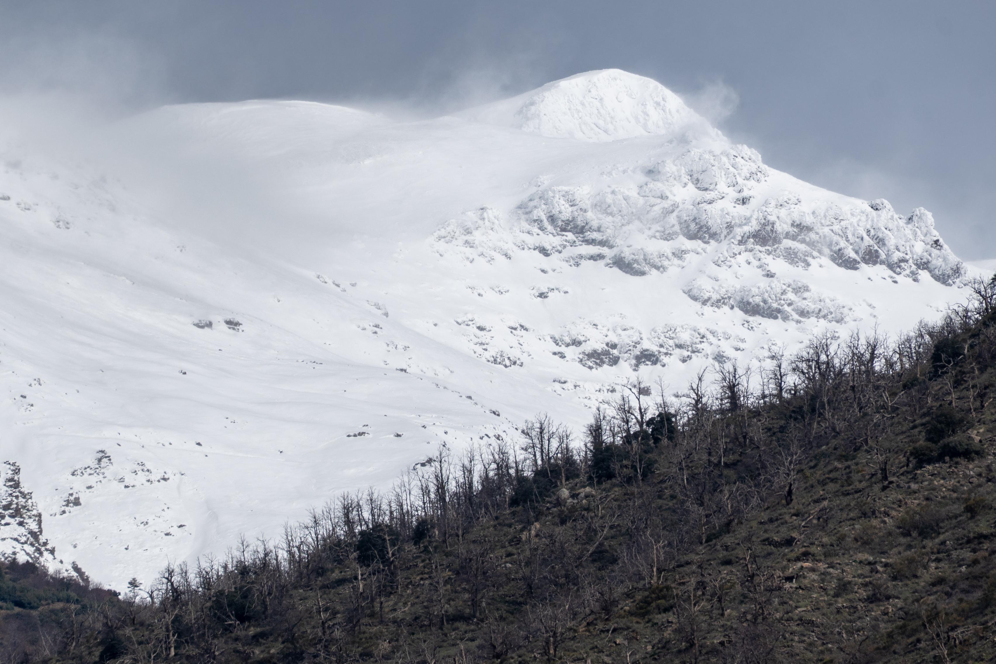 A white mountain arises out of stunted pine forests. Wind blown powder snow is seen around the ridge line