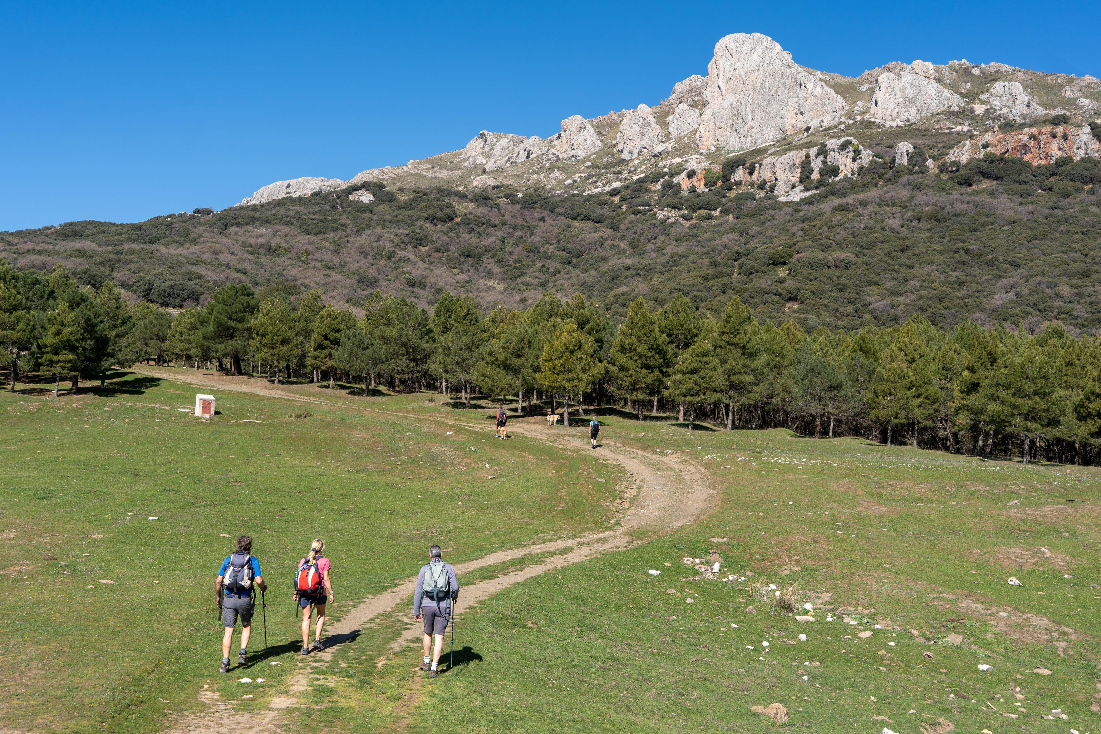 A grassy meadow is crossed by a group of hikers. Above rises a rocky peak