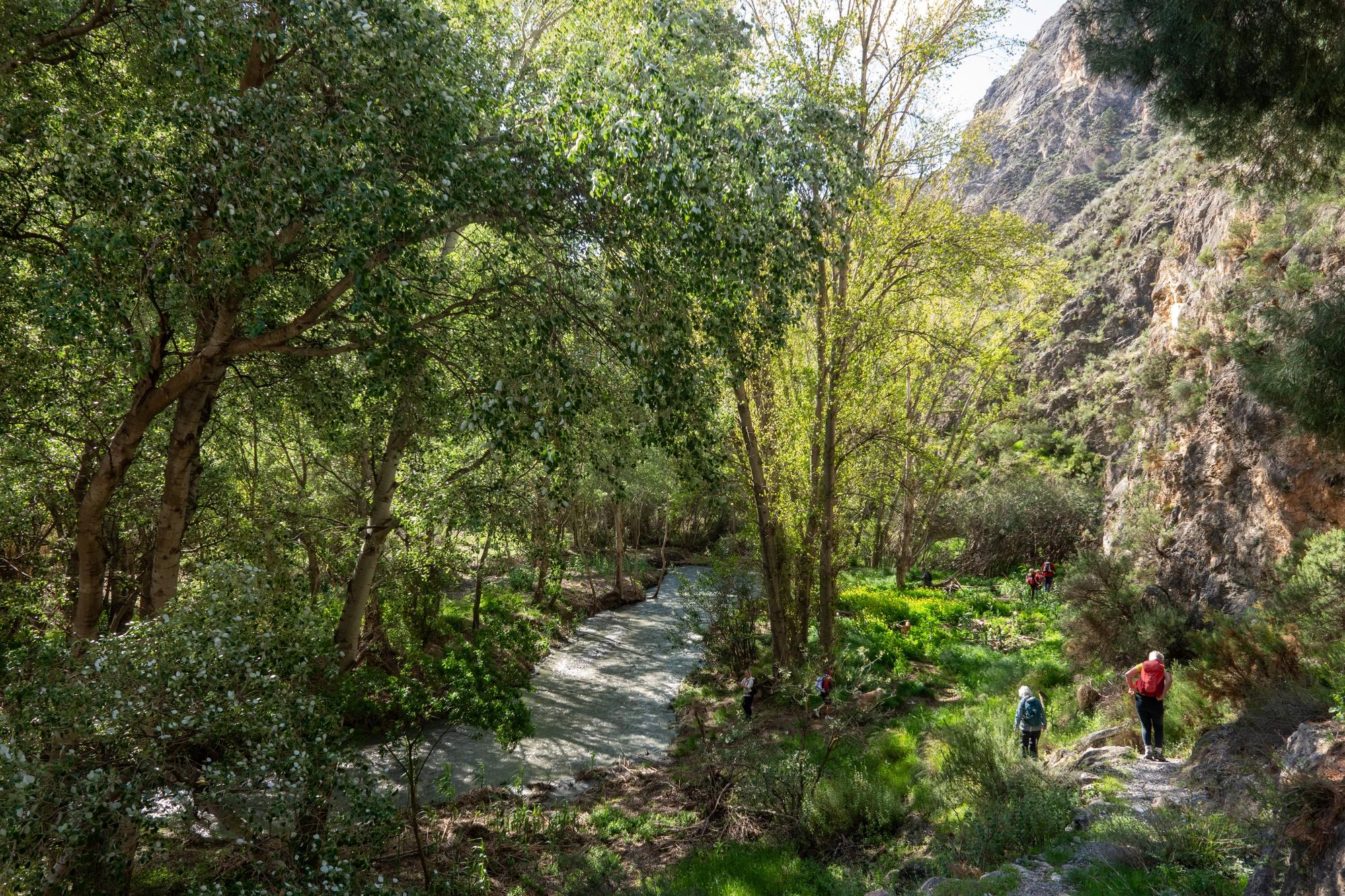 A peaceful river scene in Spain. Lots of greenery with a small river winding its way around the valley bottom. To the right are a group of hikers passing through the undergrowth