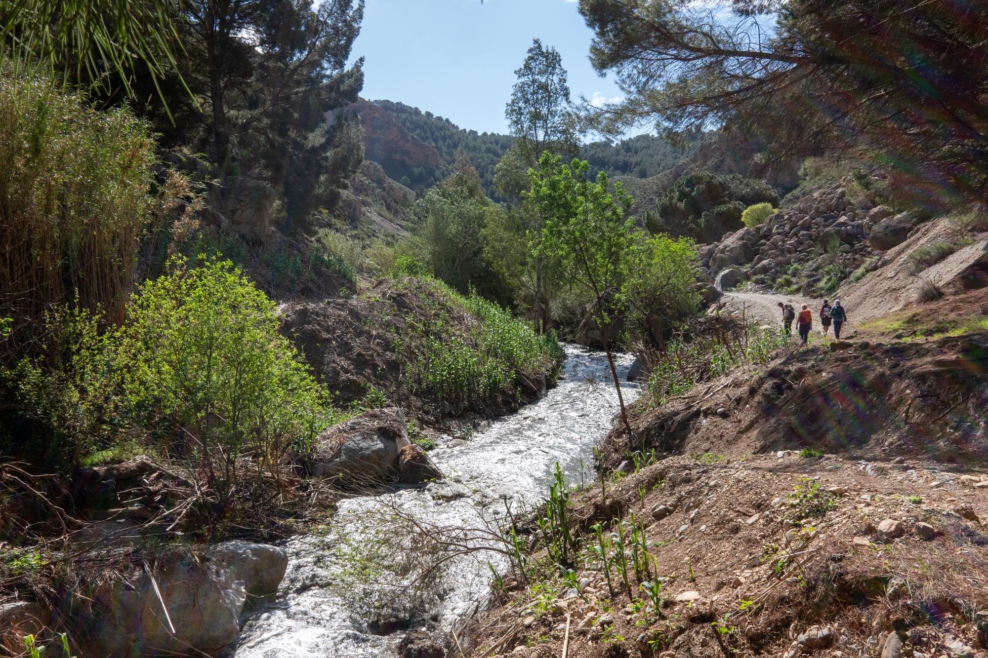 A group of hikers are walking alongside the right hand bank of a muddy river. Green shrubs and trees adorn the river banks