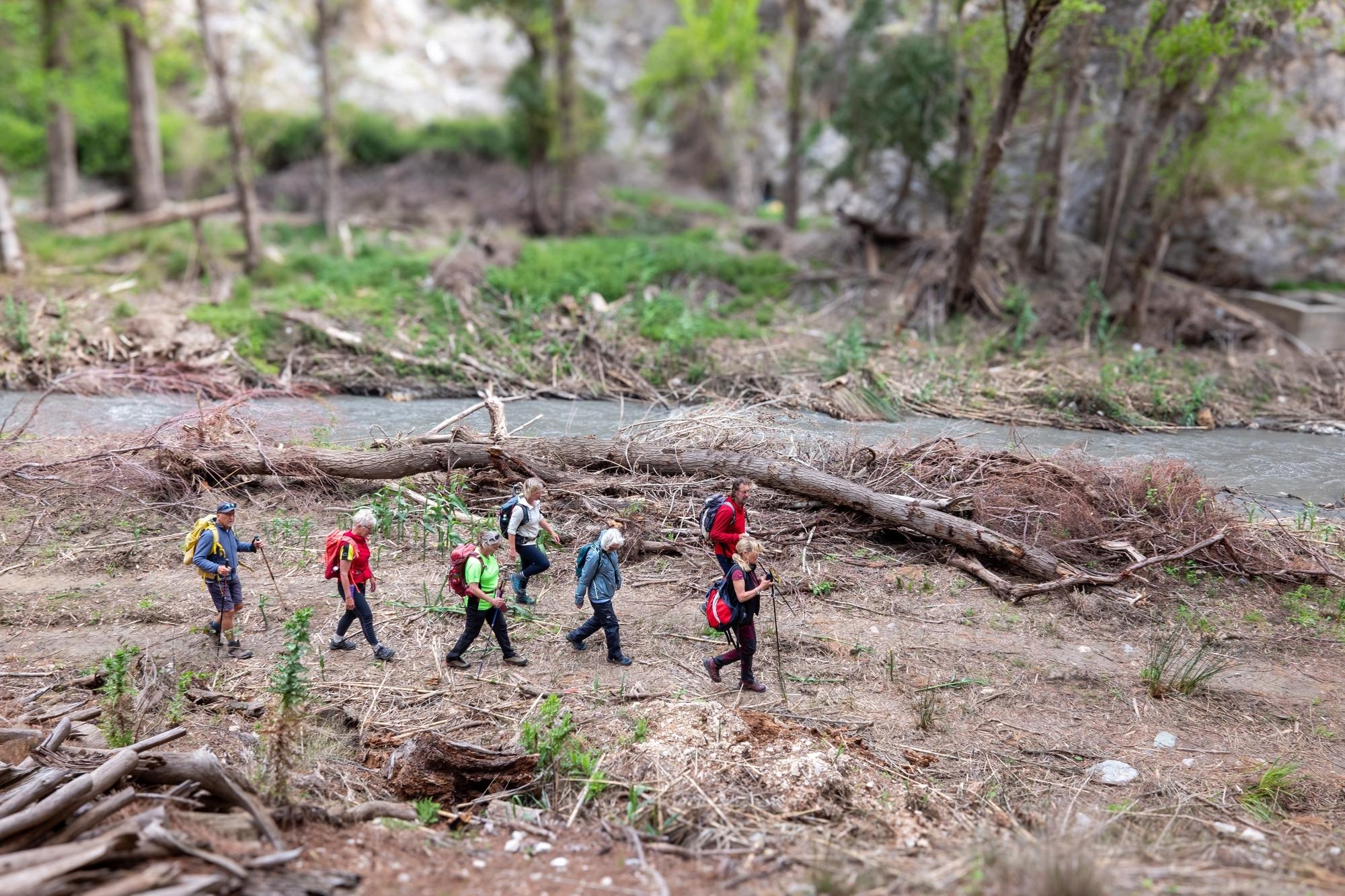 A group of hikers walking alongside a river